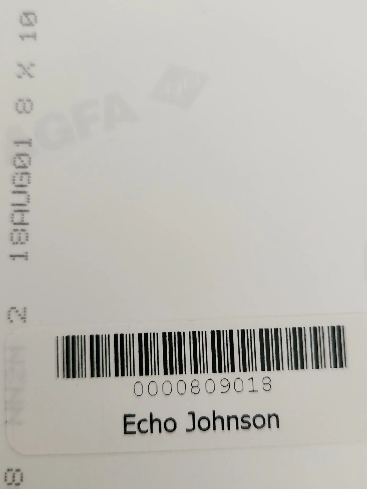Echo Johnson Signed Autographed 8x10" Photograph AW COA Playboy Model, image 3