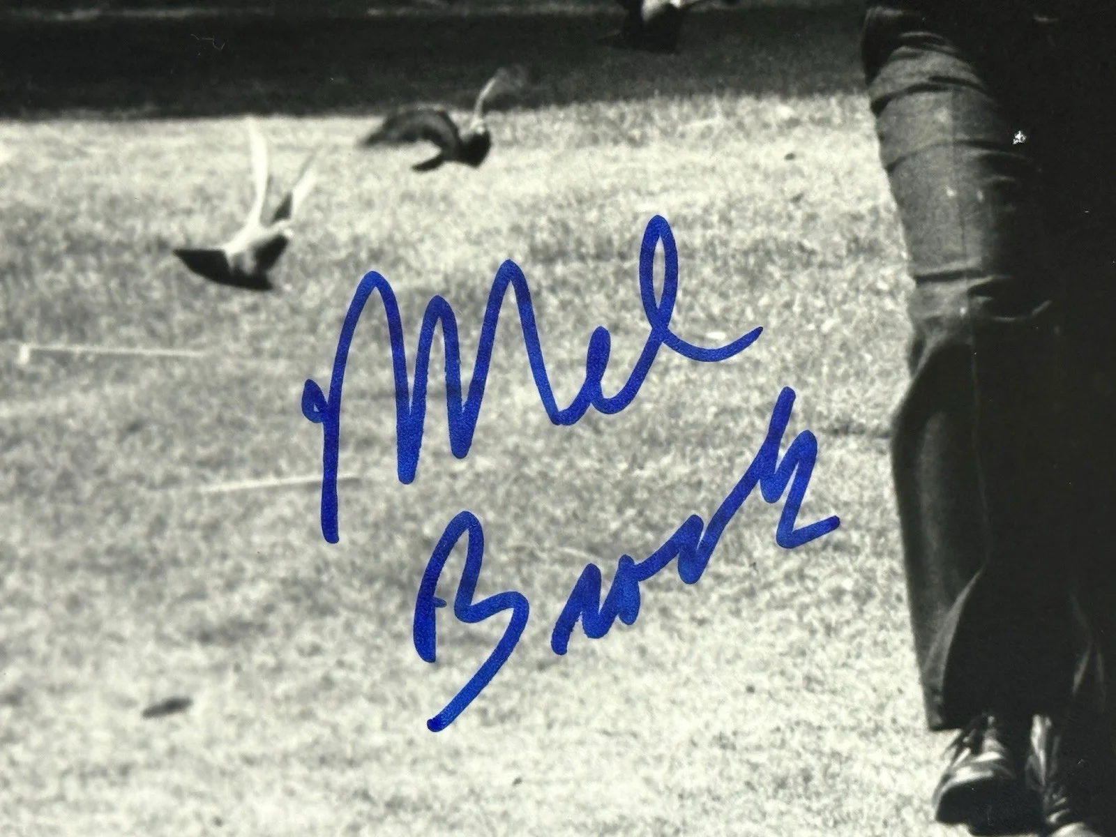 Mel Brooks — Mel Brooks signed Photo 8x10 inch movie star b&w image beckett coa, изображение 2