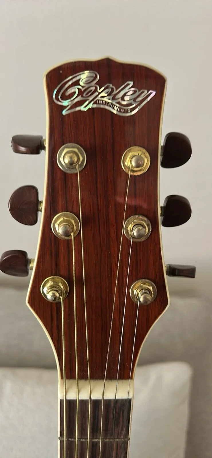 🎸 Autographed Guitar for Sale – Kenny Chesney Signature! 🎸, image 4