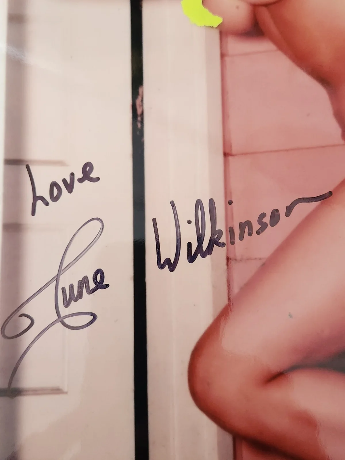June Wilkinson Signed Autographed 8x10" Photograph AW COA Model Sexy Portrait, image 2