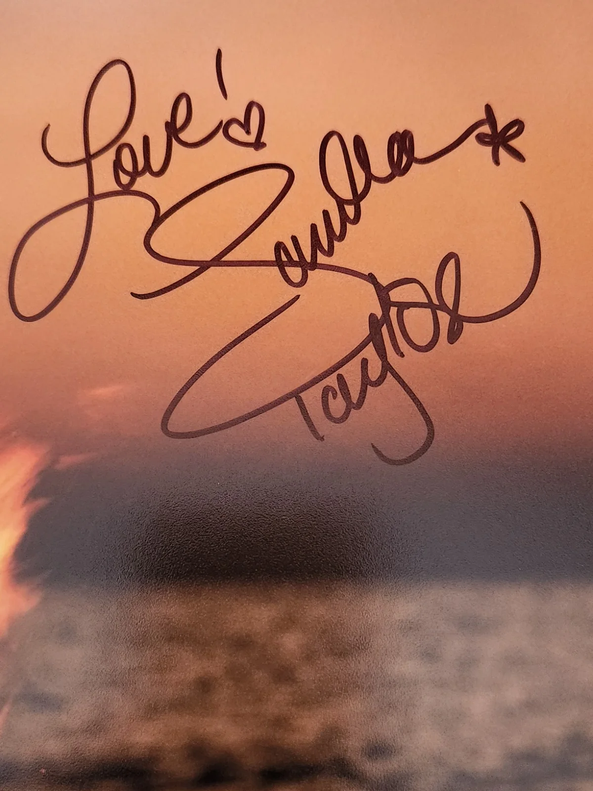 Sandra Taylor Signed Autographed 8x10" Photograph AW COA Penthouse Sexy Portrait, изображение 2