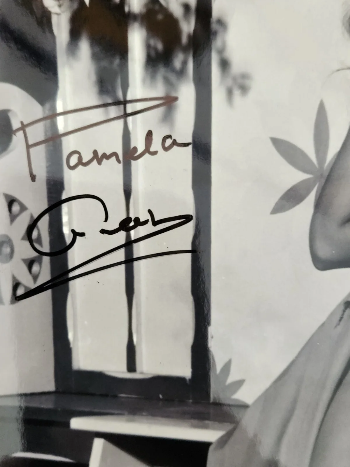 Pamela Green Signed Autographed 8x10" Photograph AW COA Krull Sexy Portrait, изображение 2
