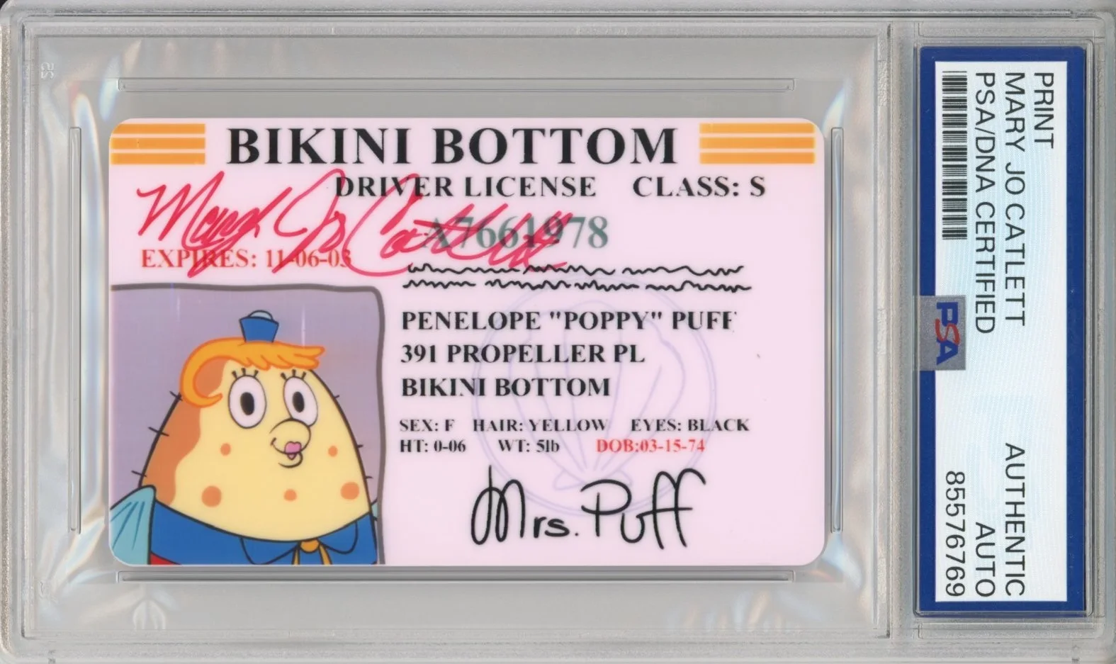 Mary Jo Catlett — SPONGEBOB SQUAREPANTS MRS PUFF DRIVERS LICENSE AUTOGRAPH MARY JO CATLETT PSA DNA