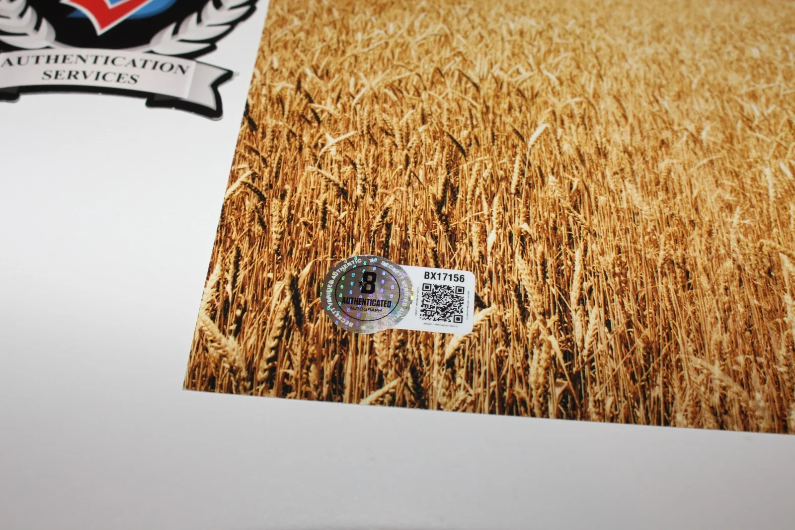 JULIAN SCHNABEL SIGNED AT ETERNITY'S GATE 12x18 MOVIE POSTER VAN GOGH BECKETT, изображение 3