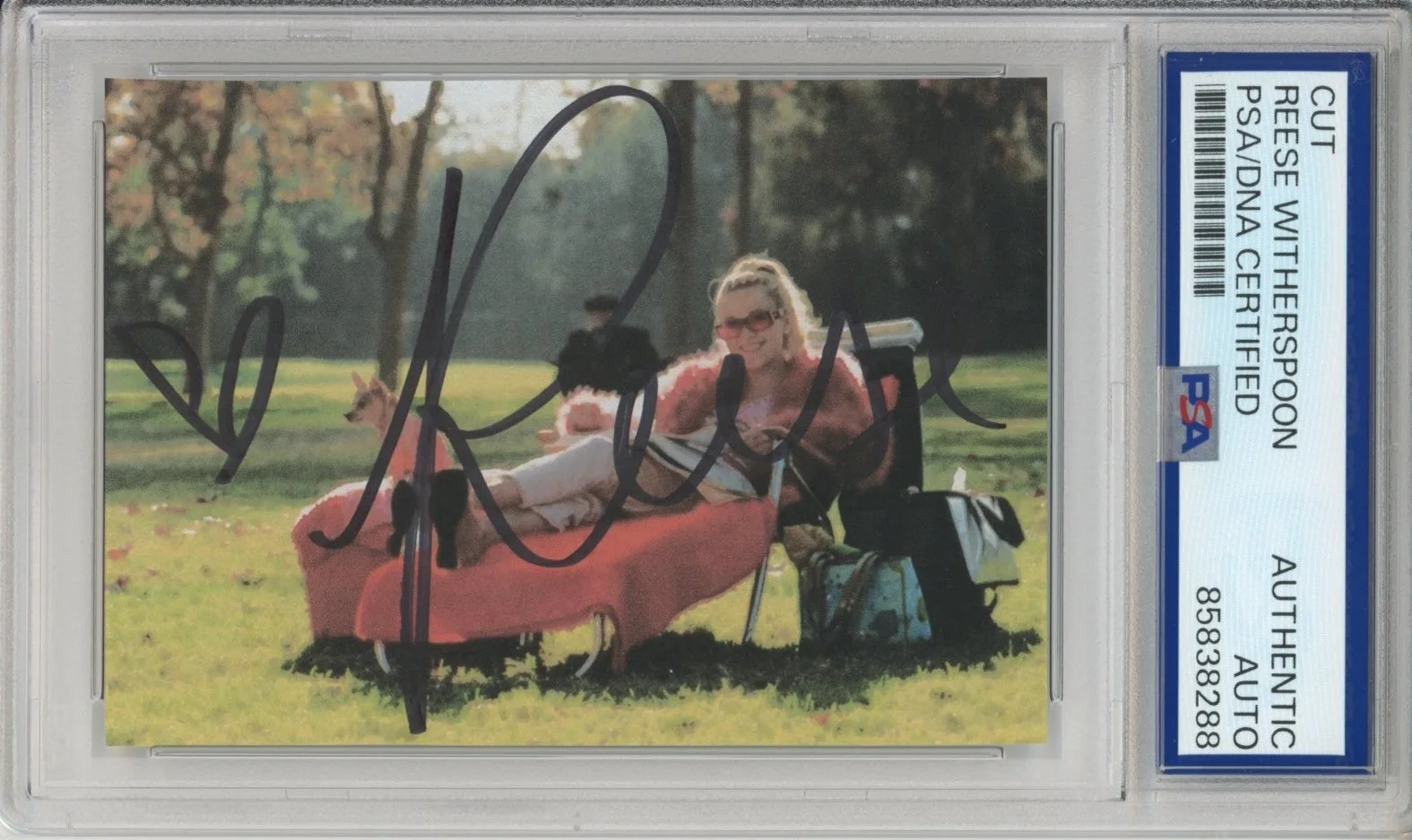 Reese Witherspoon — Reese Witherspoon SIGNED Legally Blonde Picture PSA DNA COA Autograph AUTO