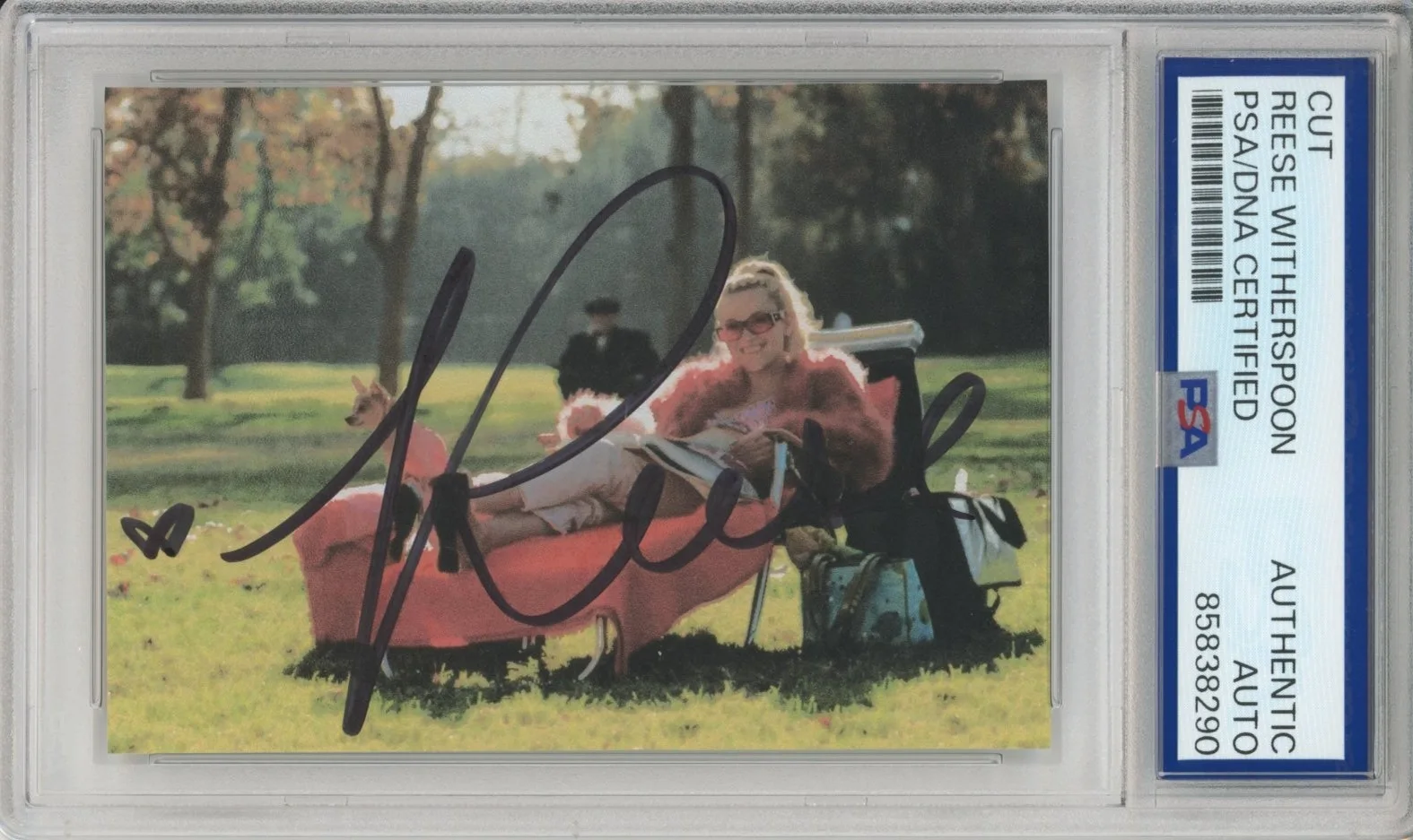 Reese Witherspoon — Reese Witherspoon SIGNED Legally Blonde Picture PSA DNA COA Certified Autograph