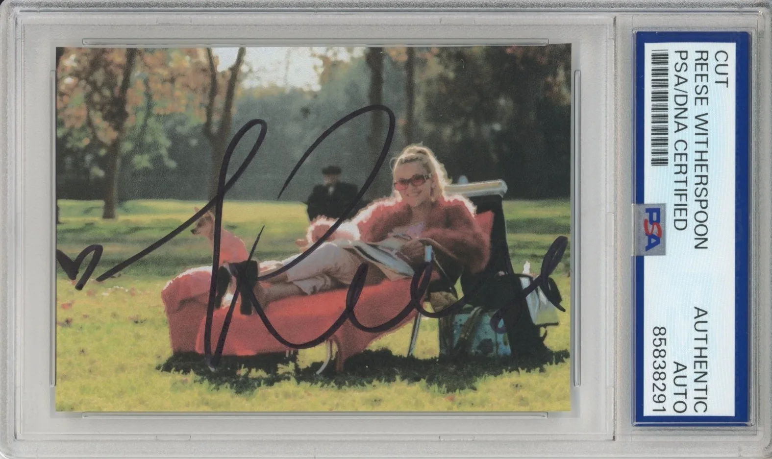 Reese Witherspoon — Reese Witherspoon SIGNED Legally Blonde Picture PSA DNA COA Authentic Autograph