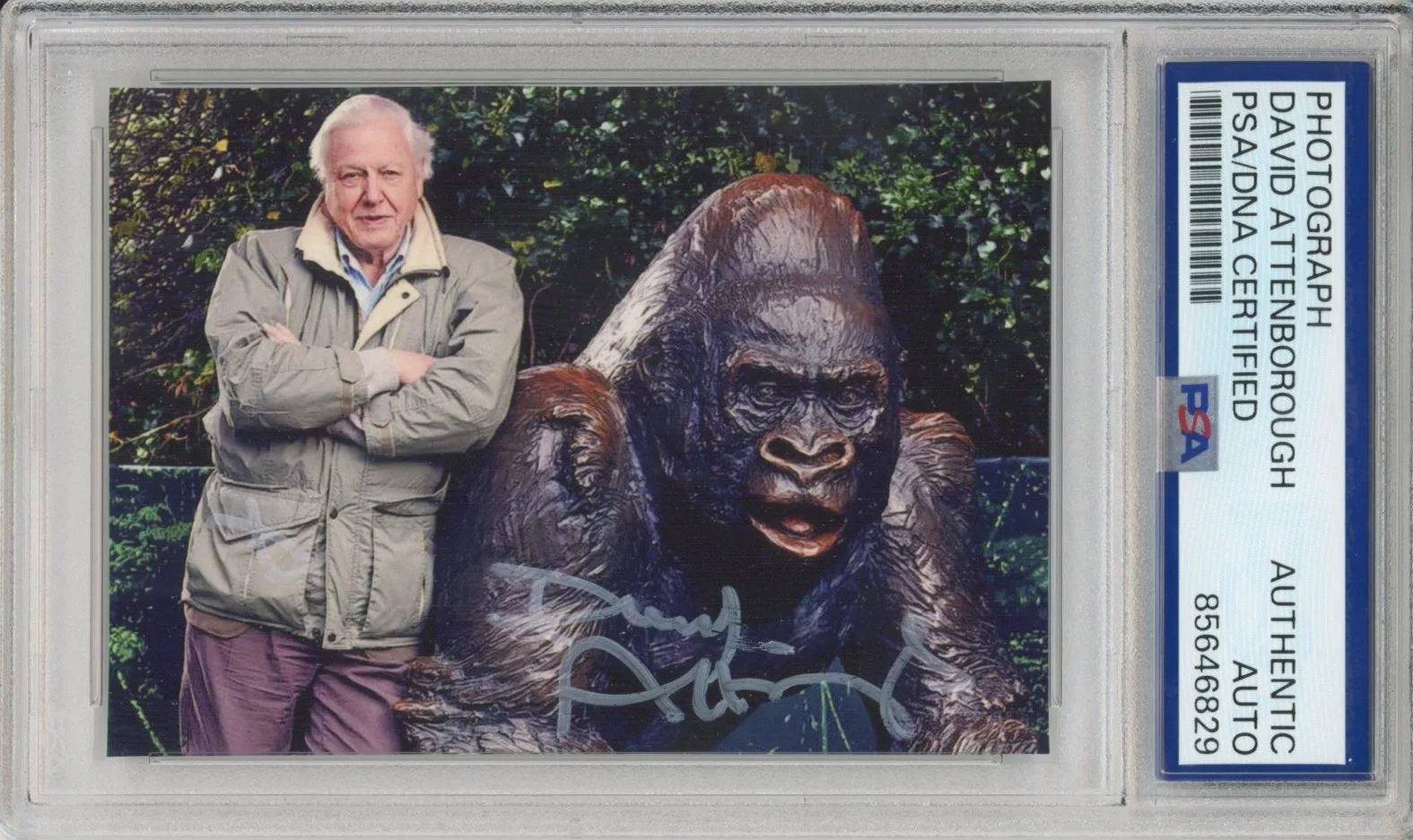 David Attenborough — DAVID ATTENBOROUGH SIGNED PHOTO AUTOGRAPH PSA DNA COA AUTHENTIC PLANET EARTH