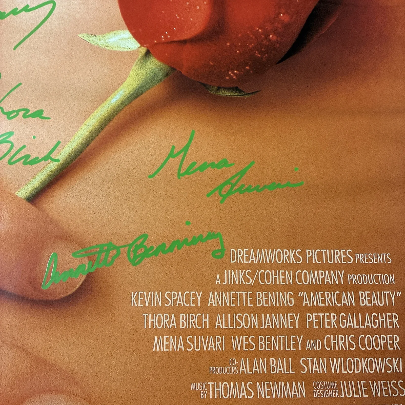 Signed Autograph AMERICAN BEAUTY 1999 Poster Benning/Spacey/Birch/Suvari, изображение 3