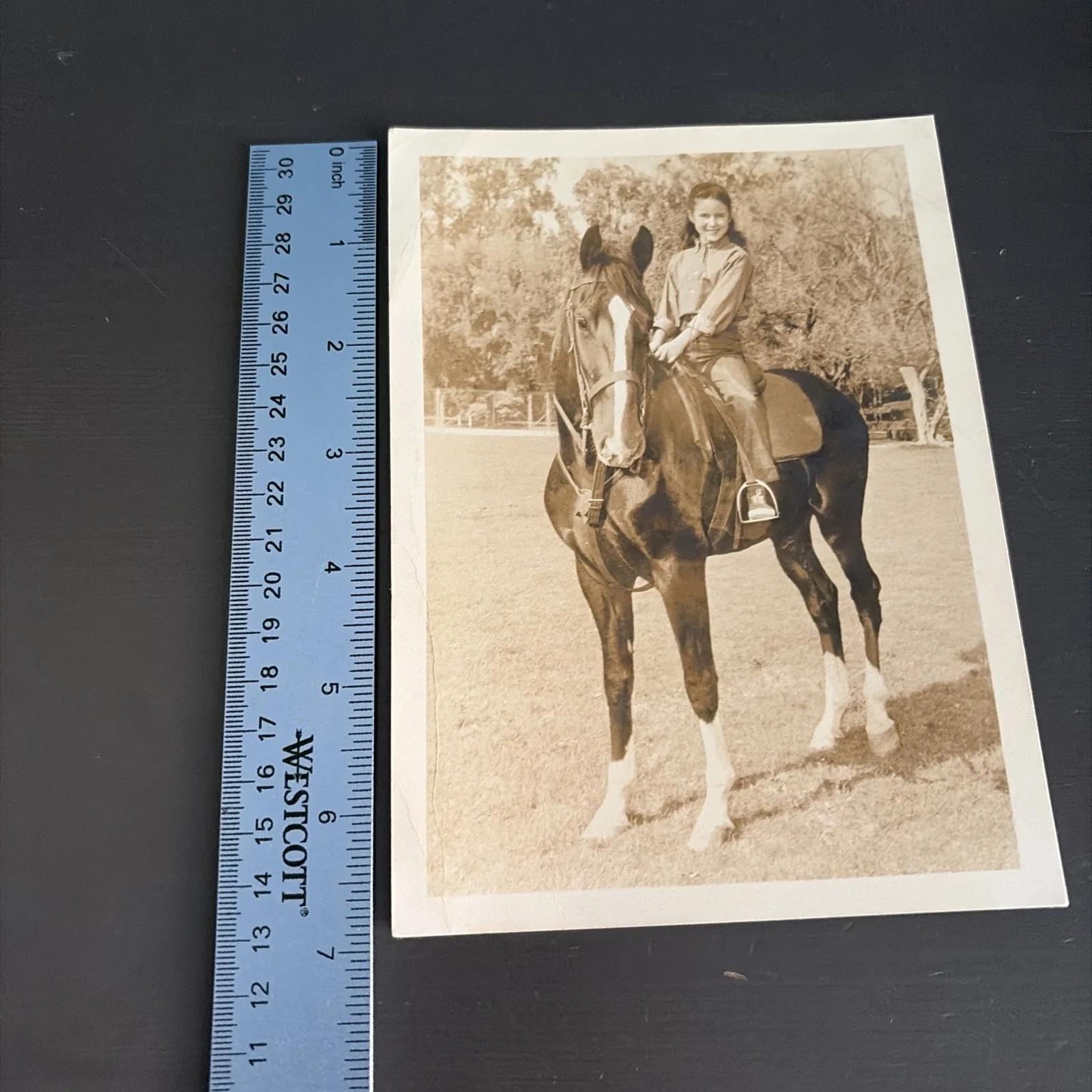 unsigned — National Velvet Lori Martin Actress on Horse KING TV Show 1961 Real Photo, изображение 4