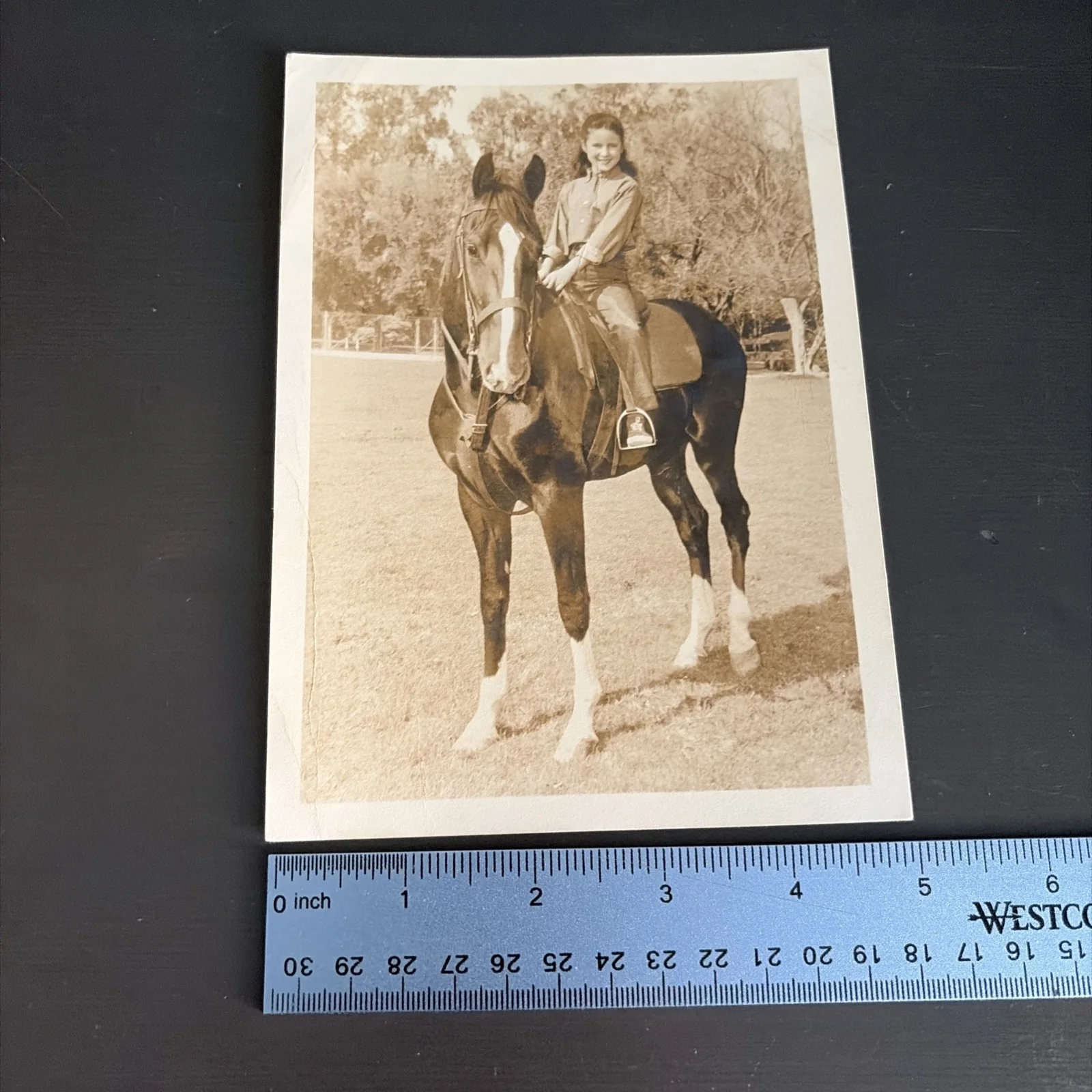 unsigned — National Velvet Lori Martin Actress on Horse KING TV Show 1961 Real Photo, изображение 5
