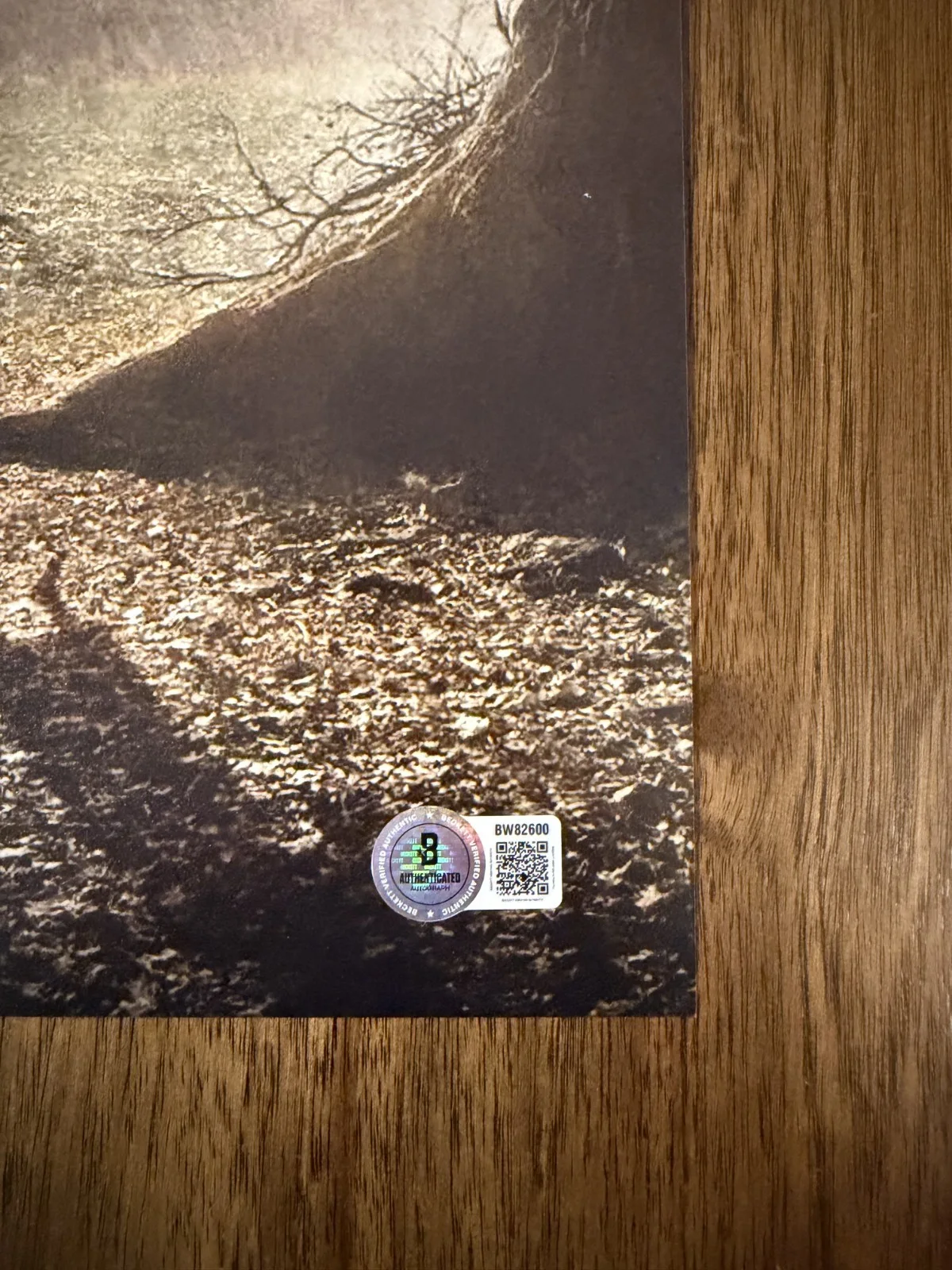 James Wan ‘The Conjuring’ Horror Director Signed 12x18 Photo Beckett Certified, изображение 2
