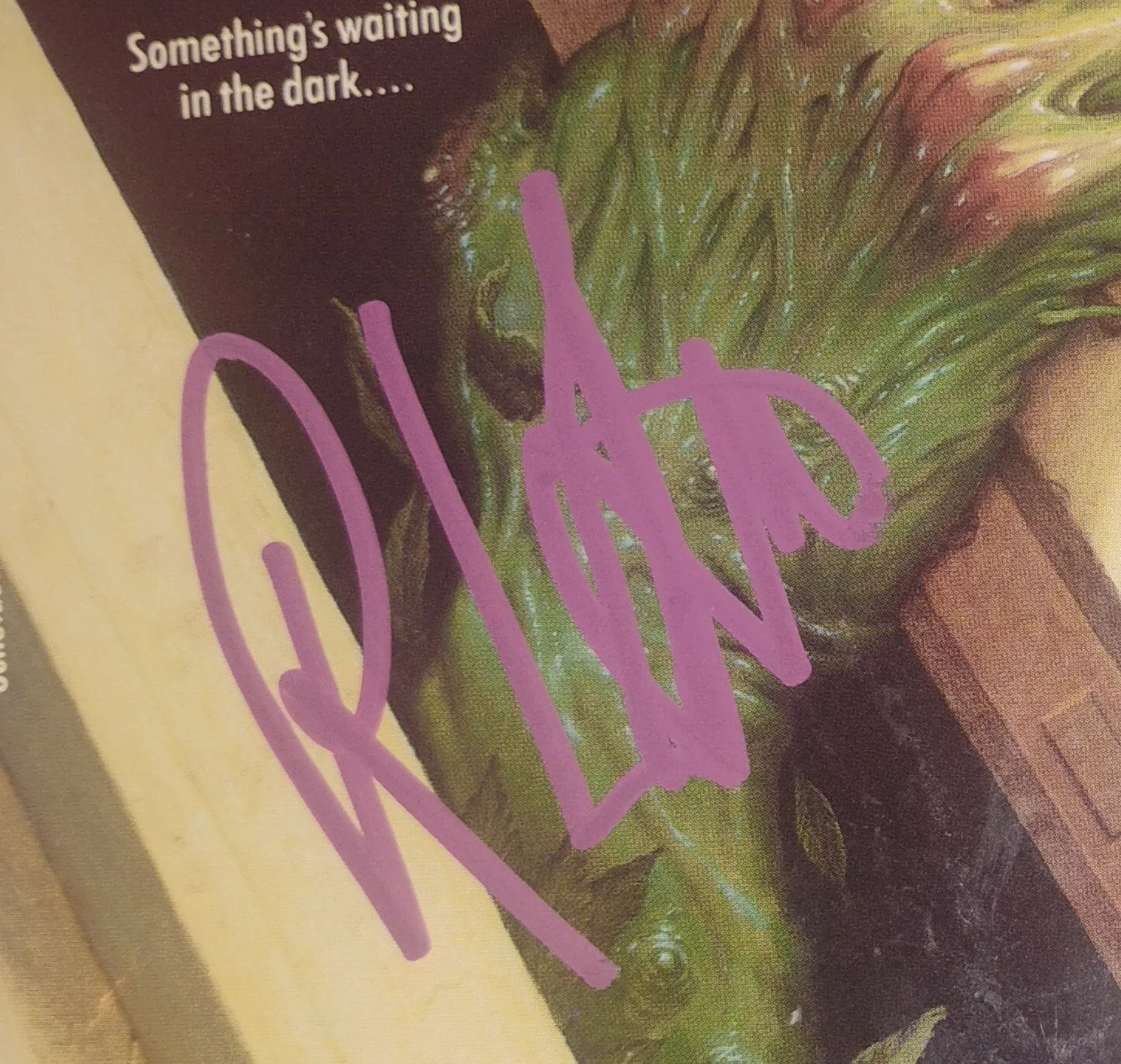 RL Stine Hand Signed Goosebumps Book COA Stay Out Of The Basement NO US TARIFFS, image 3