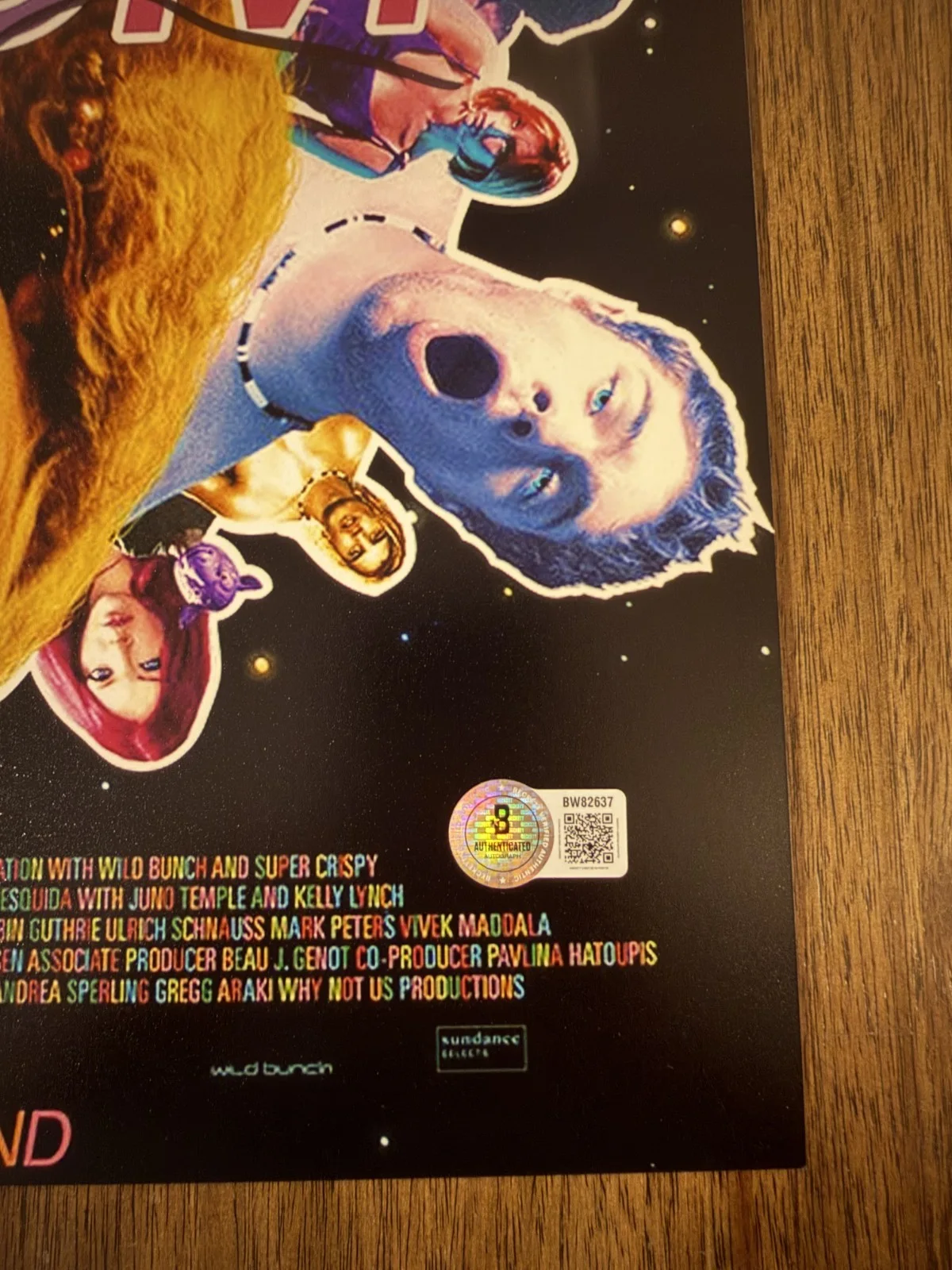 Gregg Araki ‘Kaboom’ Director Signed 12x18 Photo Beckett, image 2