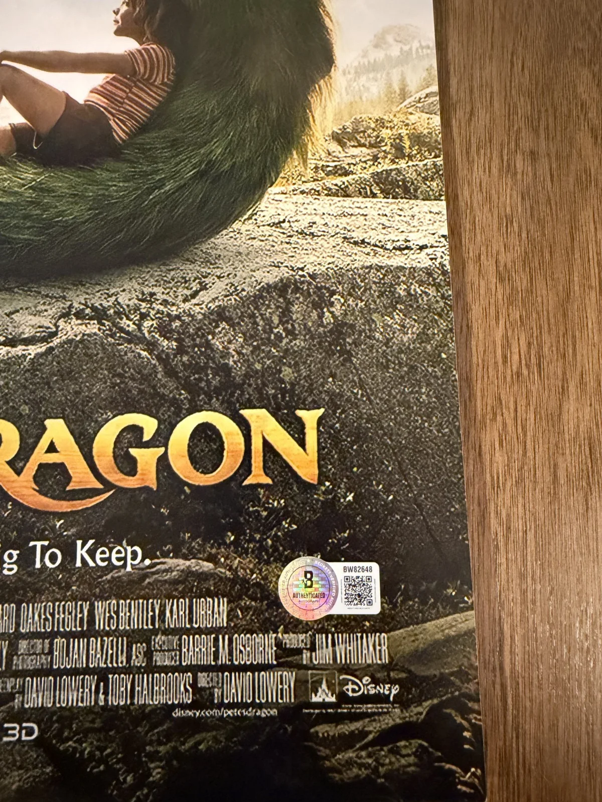 David Lowery ‘Pete's Dragon’ Director Signed 12x18 Photo Beckett, image 2