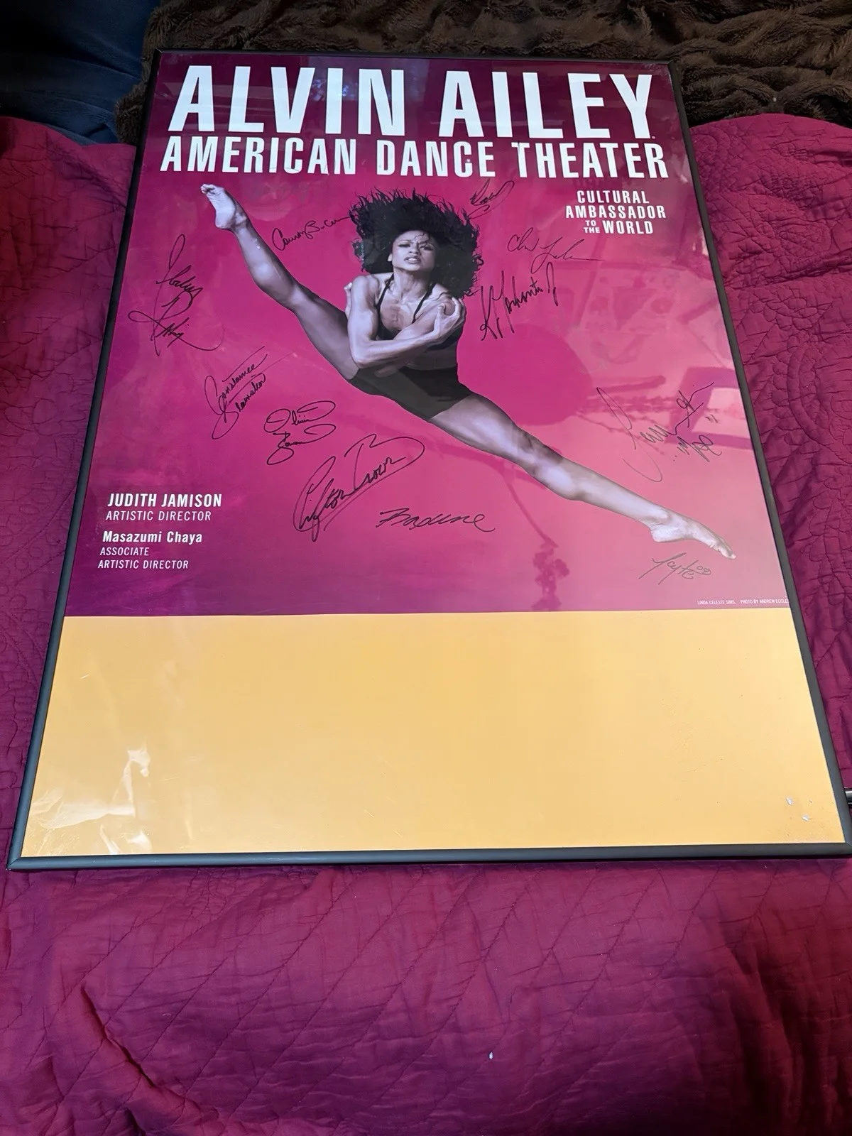 Alvin Ailey American Dance Theater Poster SIGNED by 13 Dancers 36x24, изображение 2