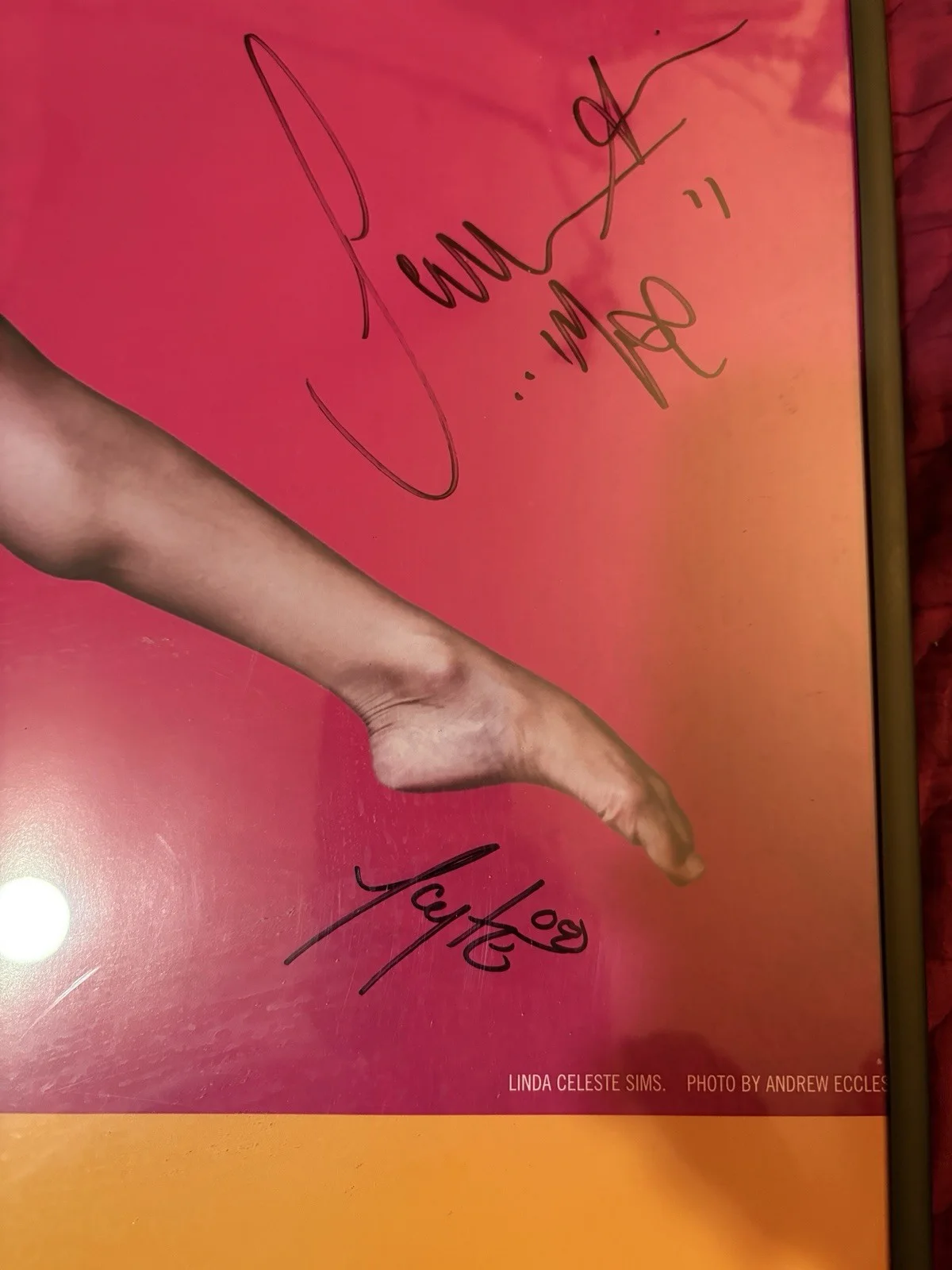 Alvin Ailey American Dance Theater Poster SIGNED by 13 Dancers 36x24, изображение 3