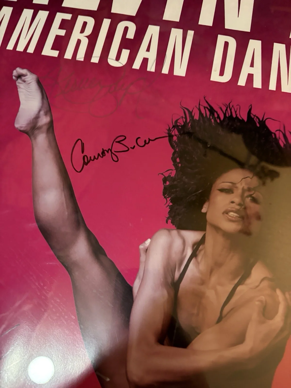 Alvin Ailey American Dance Theater Poster SIGNED by 13 Dancers 36x24, изображение 5