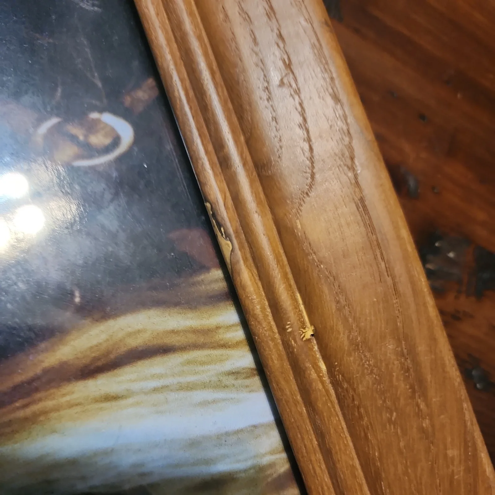 Orlando Bloom — Lord Of The Rings Legolas Signed Photo Orlando No proof of authenticity, изображение 5