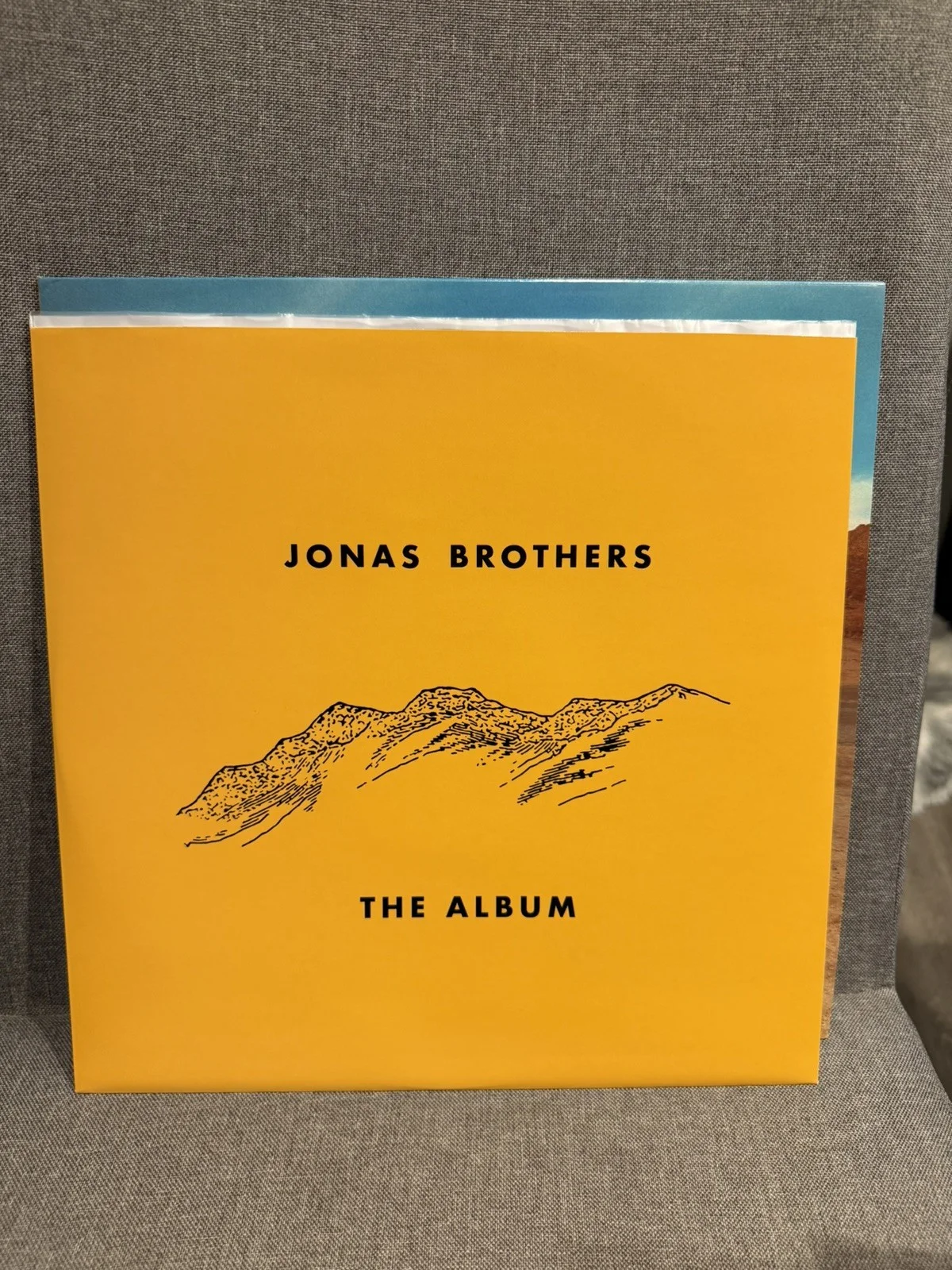 Jonas Brothers The Album w/ SIGNED ✍️AUTOGRAPHED Poster Vinyl LP Nick Joe Kevin, изображение 4