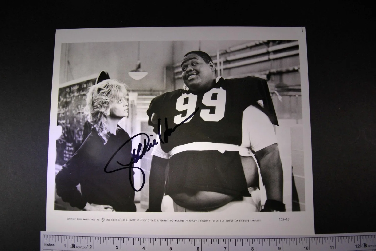 Goldie Hawn — GOLDIE HAWN (CATUS FLOWER~PRIVATE BENJAMIN~DEATH BECOMES HER) AUTOGRAPH PHOTO~