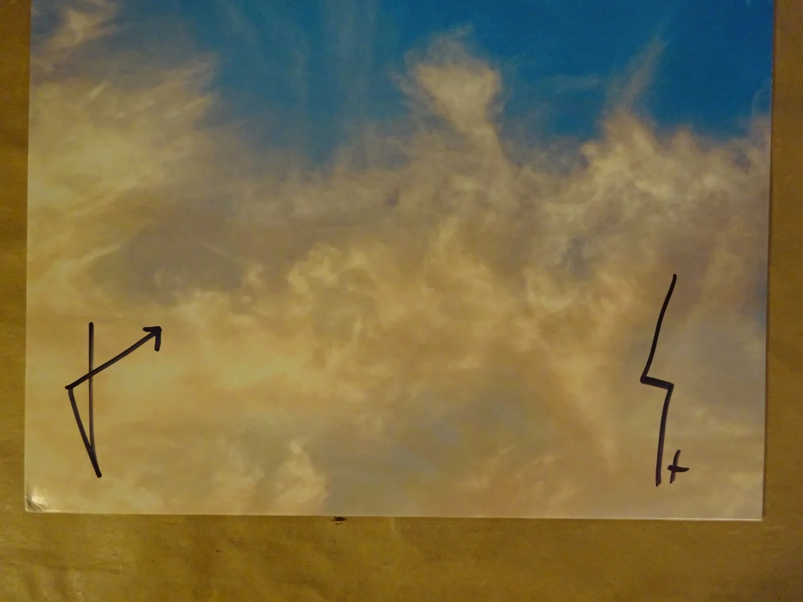 Signed Thirty Seconds To Mars Autographed Album Cover Shannon Jared Leto BAS COA, image 3