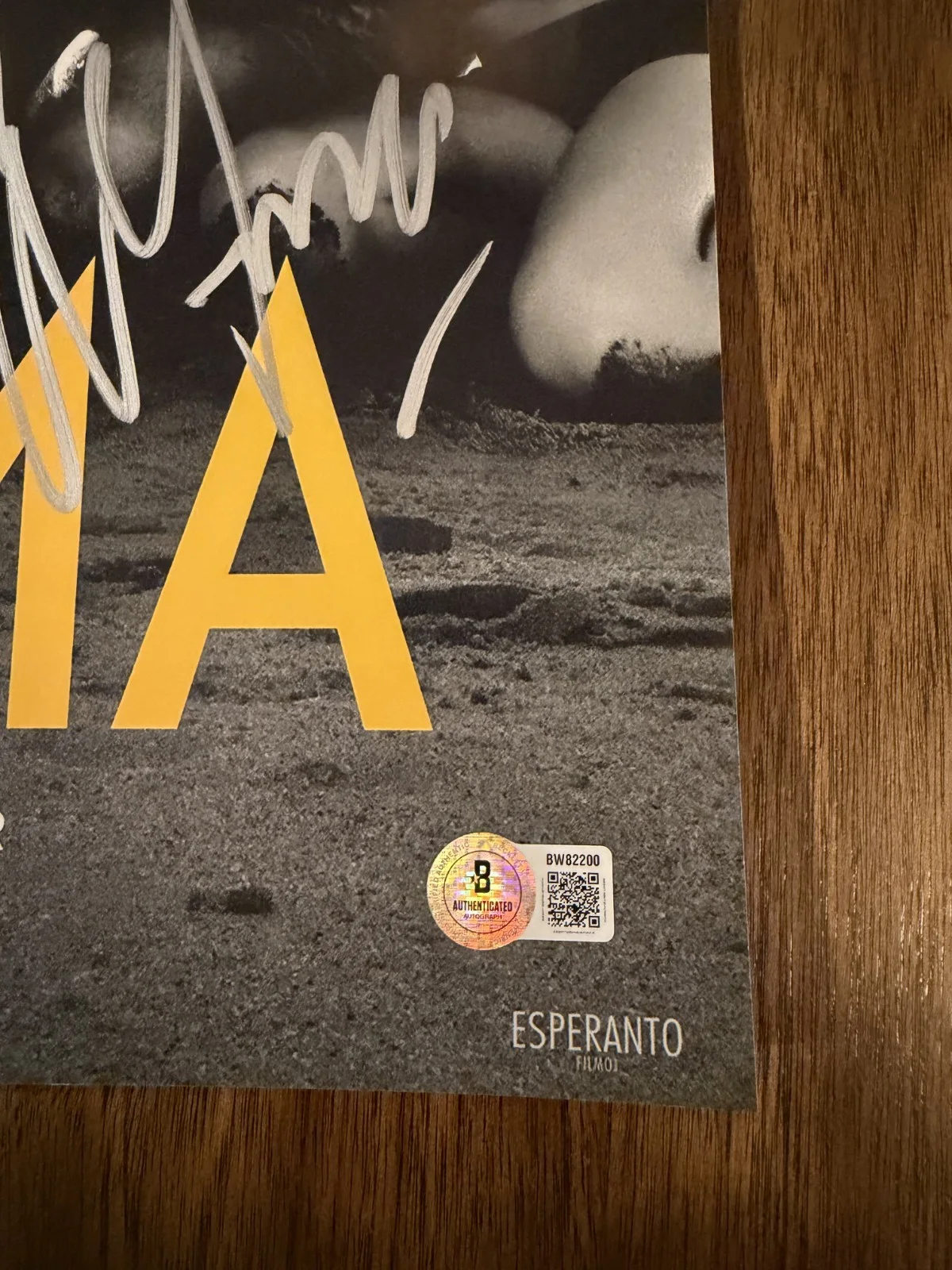 Alfonso Cuaron ‘Roma’ Director Signed 12x18 Photo Beckett Certified, изображение 2