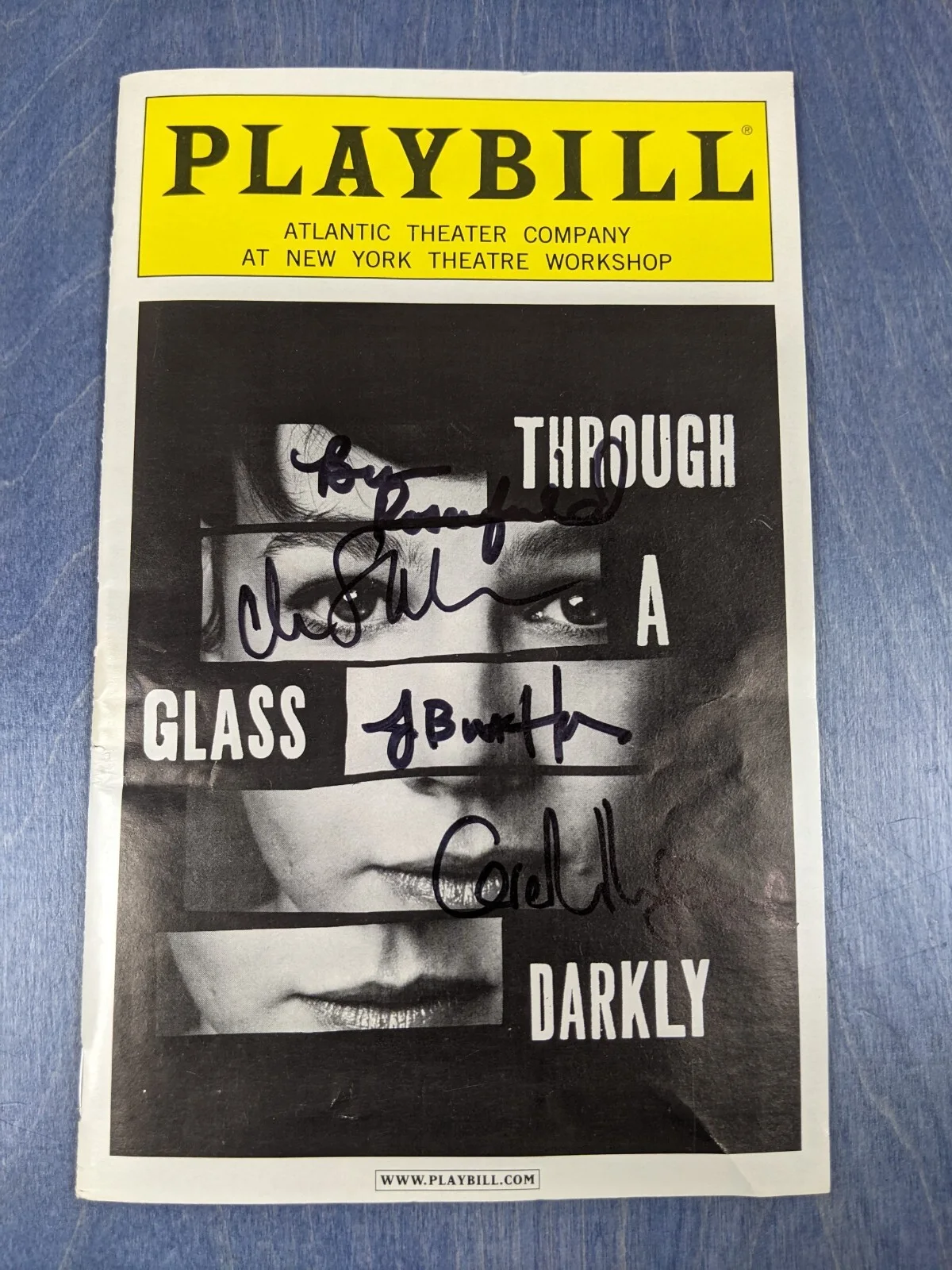 Carey Mulligan, Chris Sarandon, Ben Rosenfield, Jason Harner — Playbill Through a Glass Darkly Cast SIGNED Mulligan Sarandon New York Theater, изображение 2