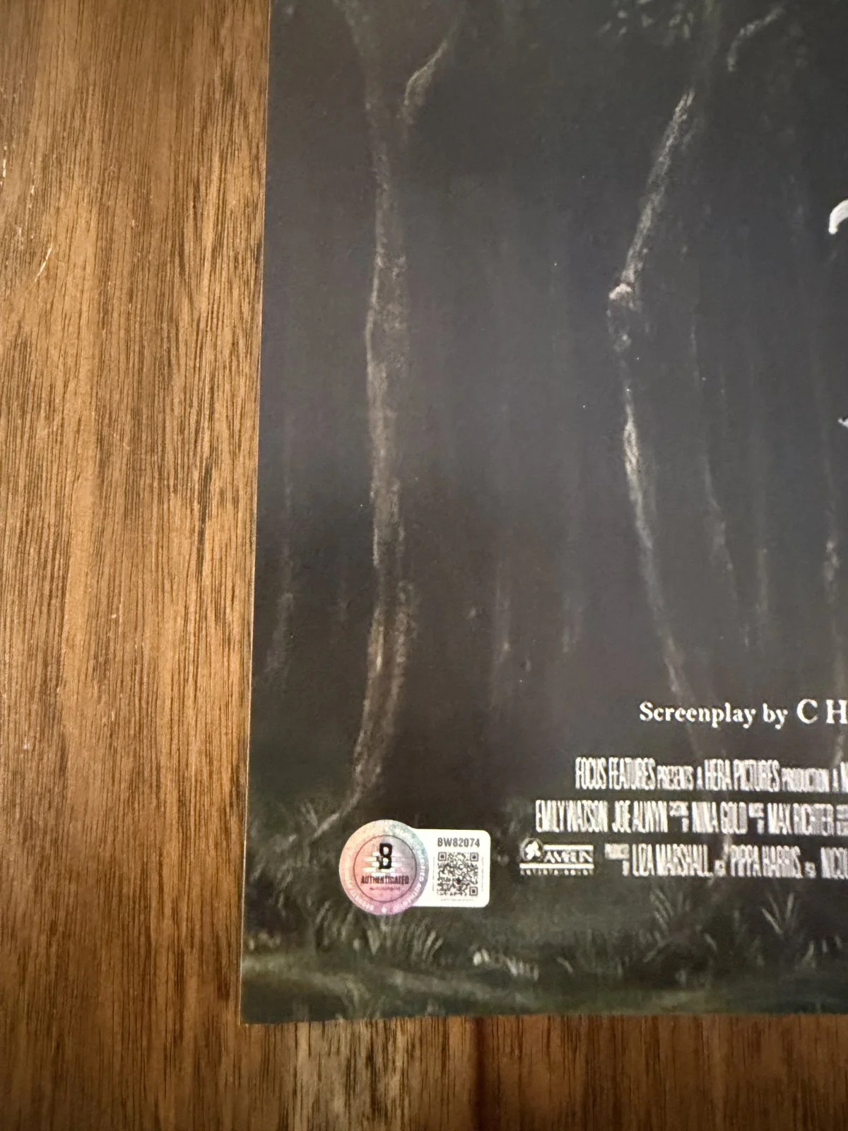 Chloe Zhao ‘Hamnet’ Director Signed 12x18 Photo Beckett Certified, image 2