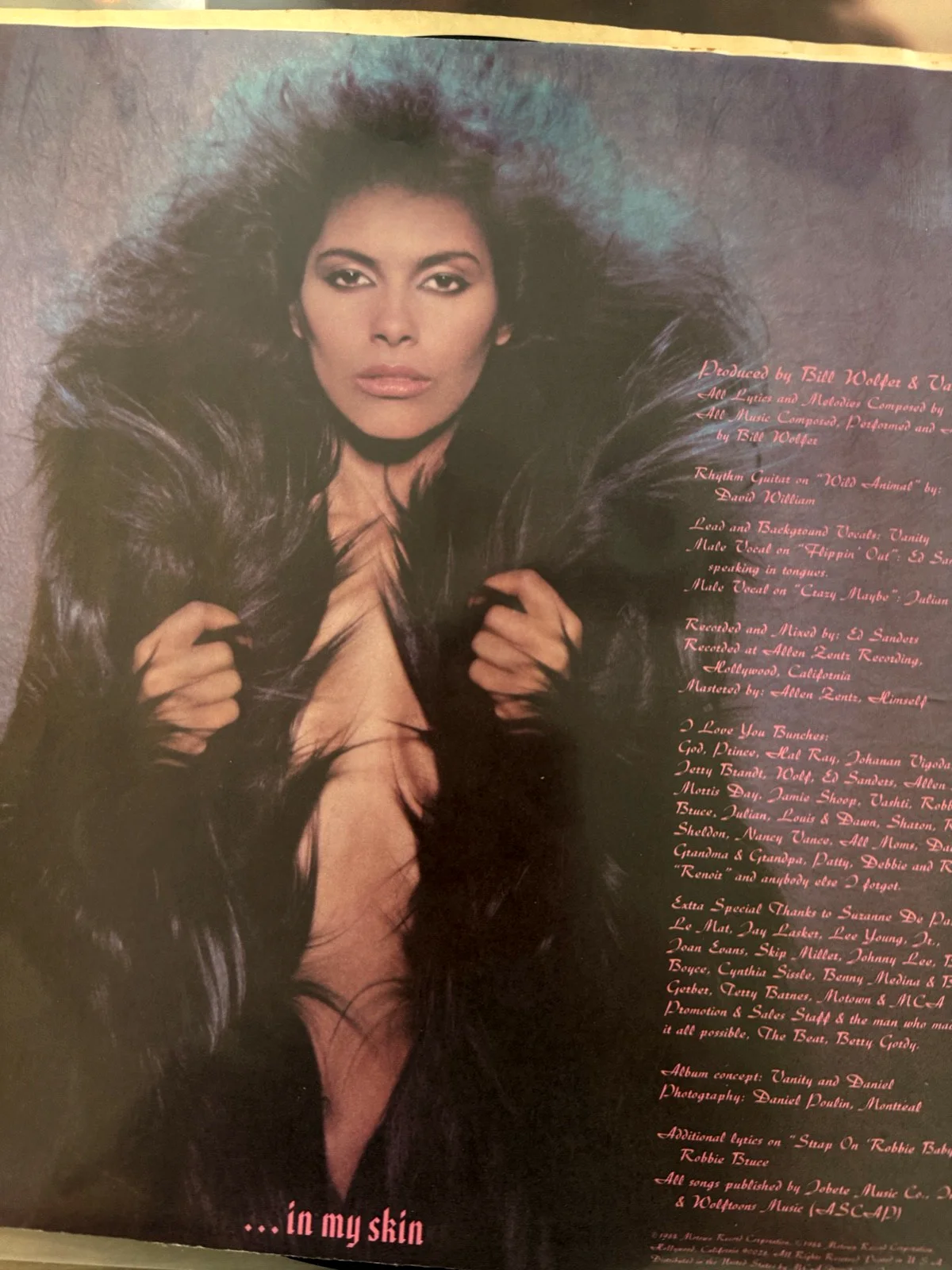 Vanity / Denise Matthews : signed Wild Animal autographed Lp vinyl ( Prince ), изображение 3