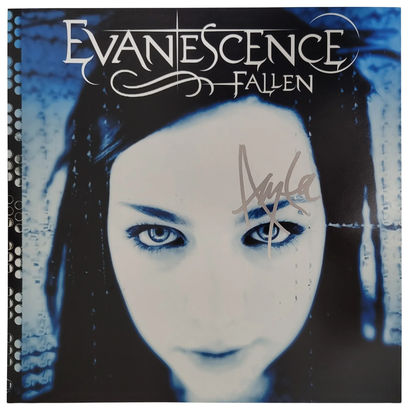 Amy Lee signed Evanescence Fallen 12x12 Photo COA exact proof autographed, image 2