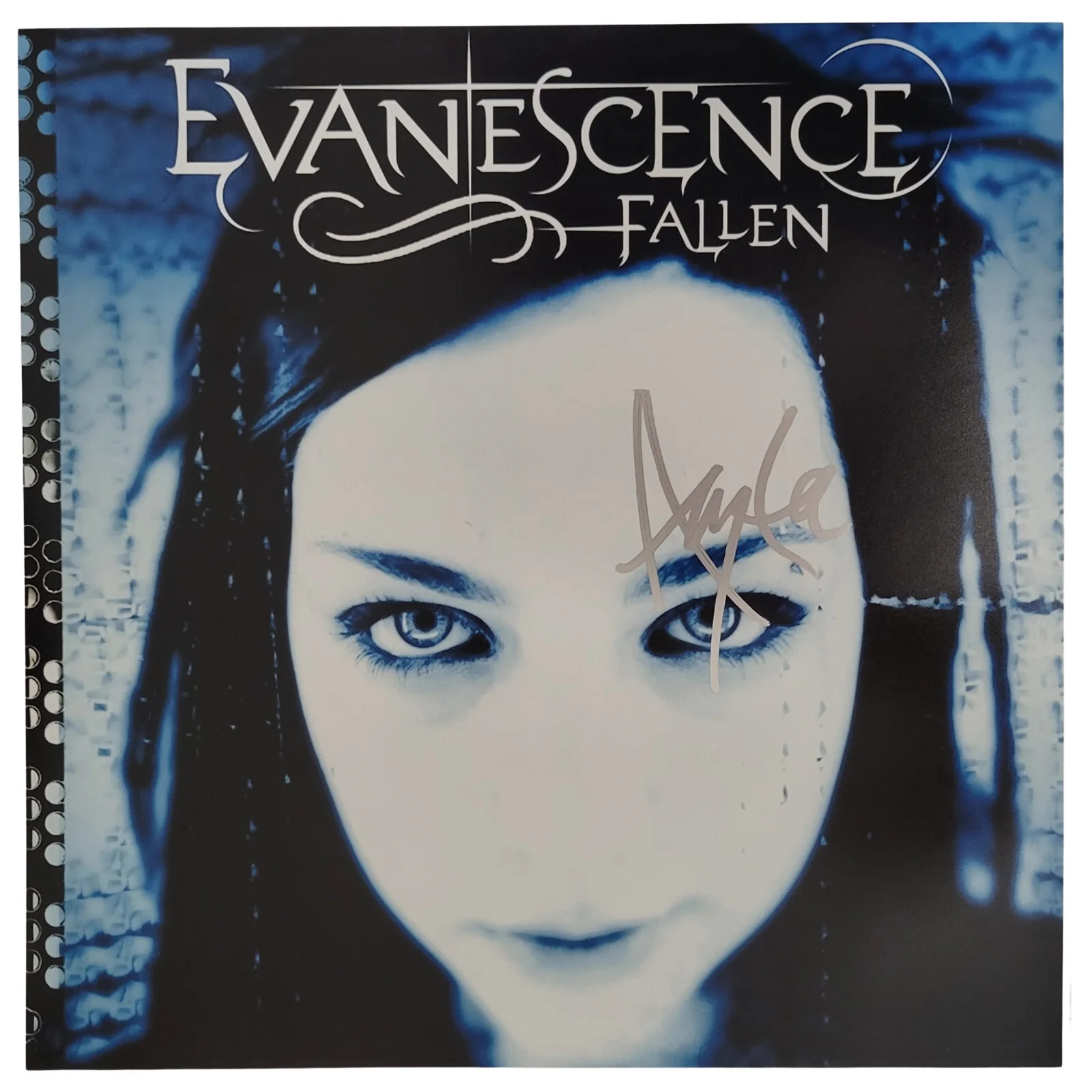 Amy Lee signed Evanescence Fallen 12x12 Photo COA exact proof autographed, image 3