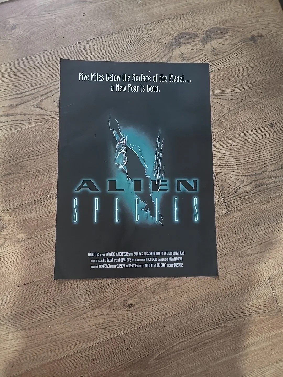 Alien Species Original Video Shop VHS Poster Rare, изображение 2