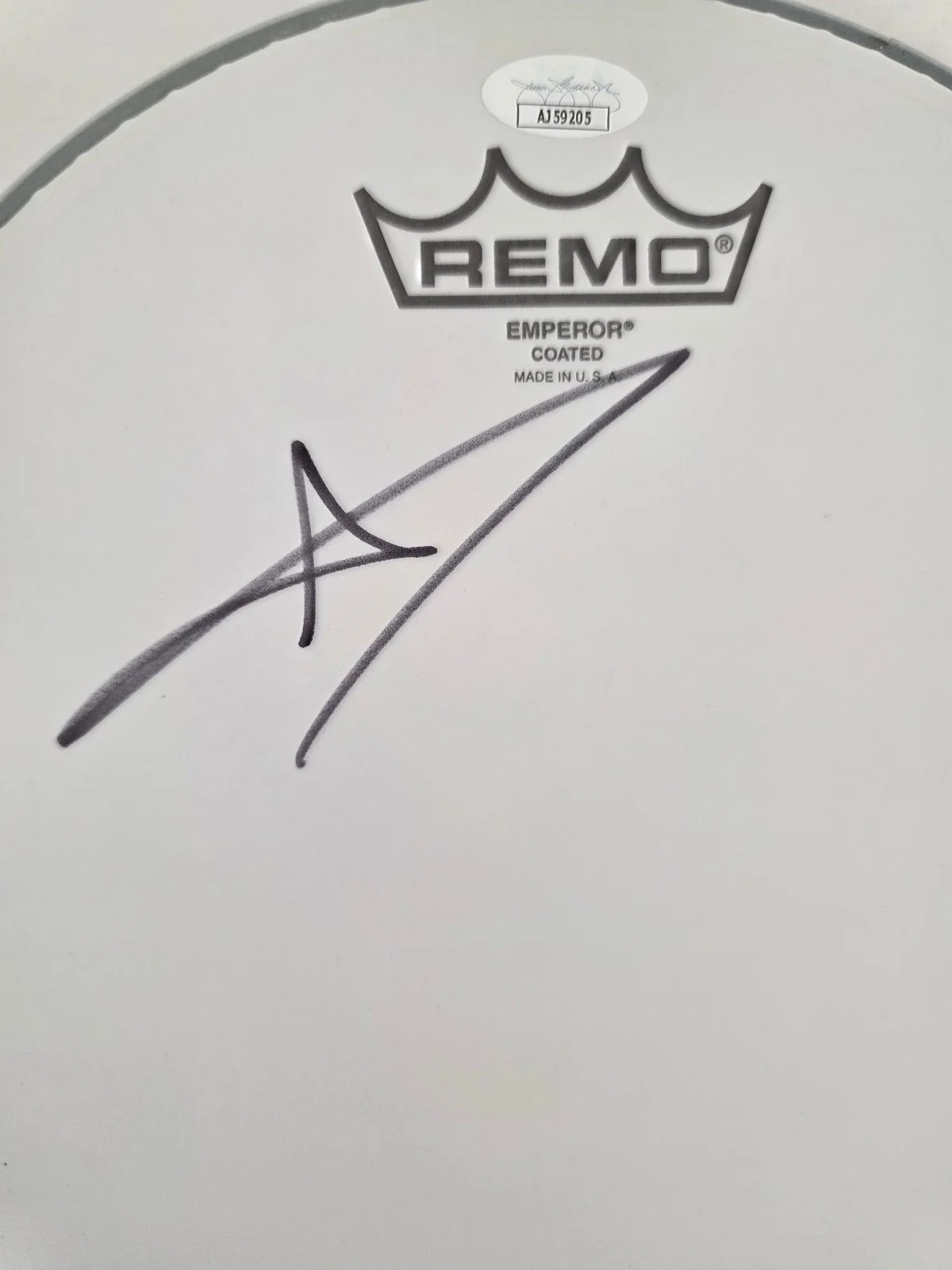 Andy Hurley Fall Out Boy Drummer Signed Drumhead JSA COA Autographed, image 3