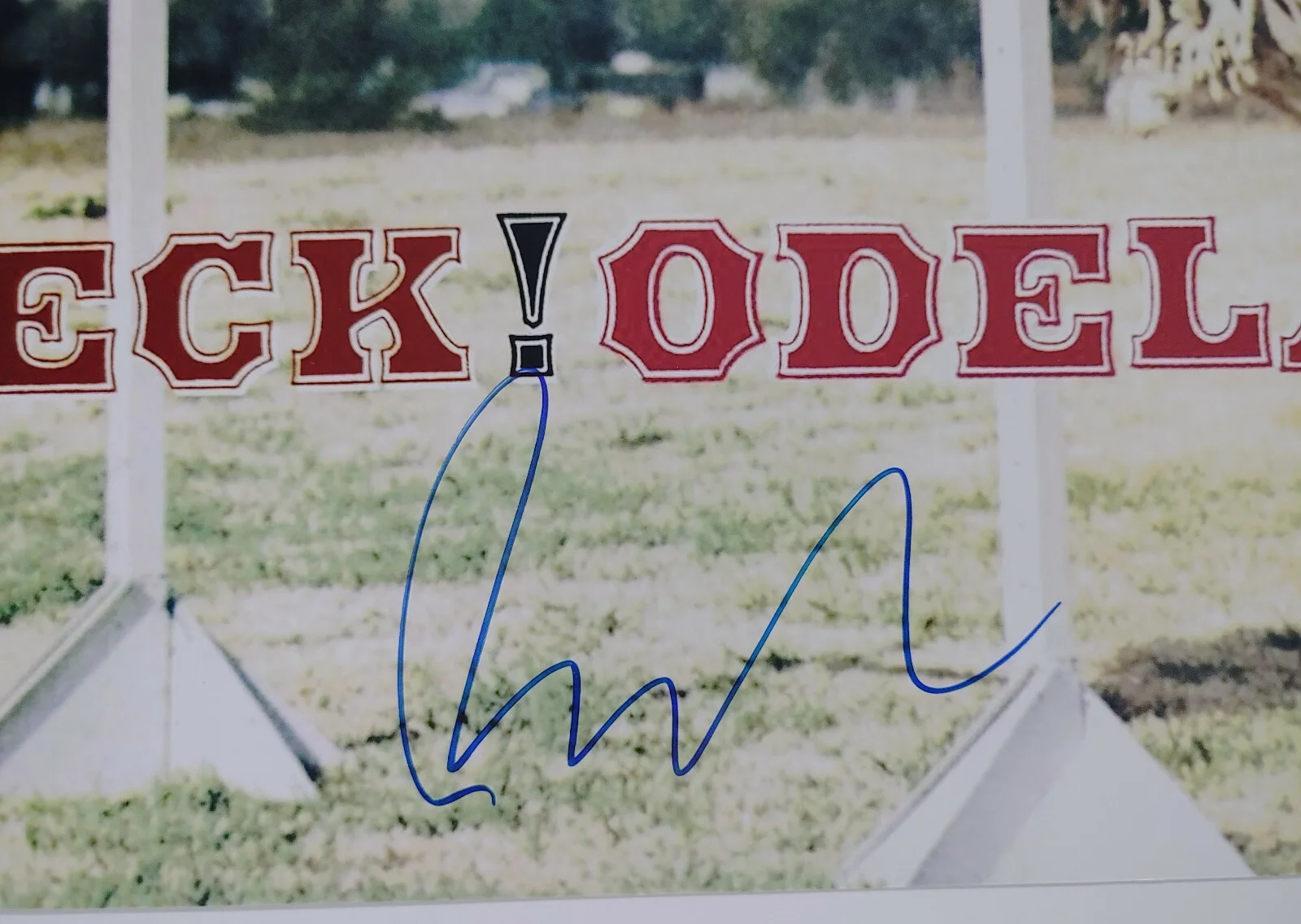 Beck Hansen autographed Beck! Odelay 12x12 album photo COA Proof Beckett BAS, изображение 3