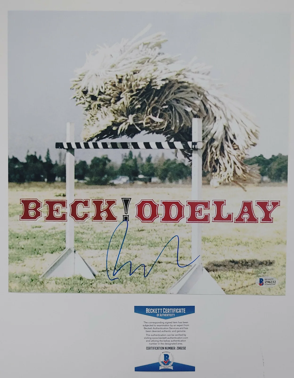 Beck Hansen autographed Beck! Odelay 12x12 album photo COA Proof Beckett BAS, изображение 5