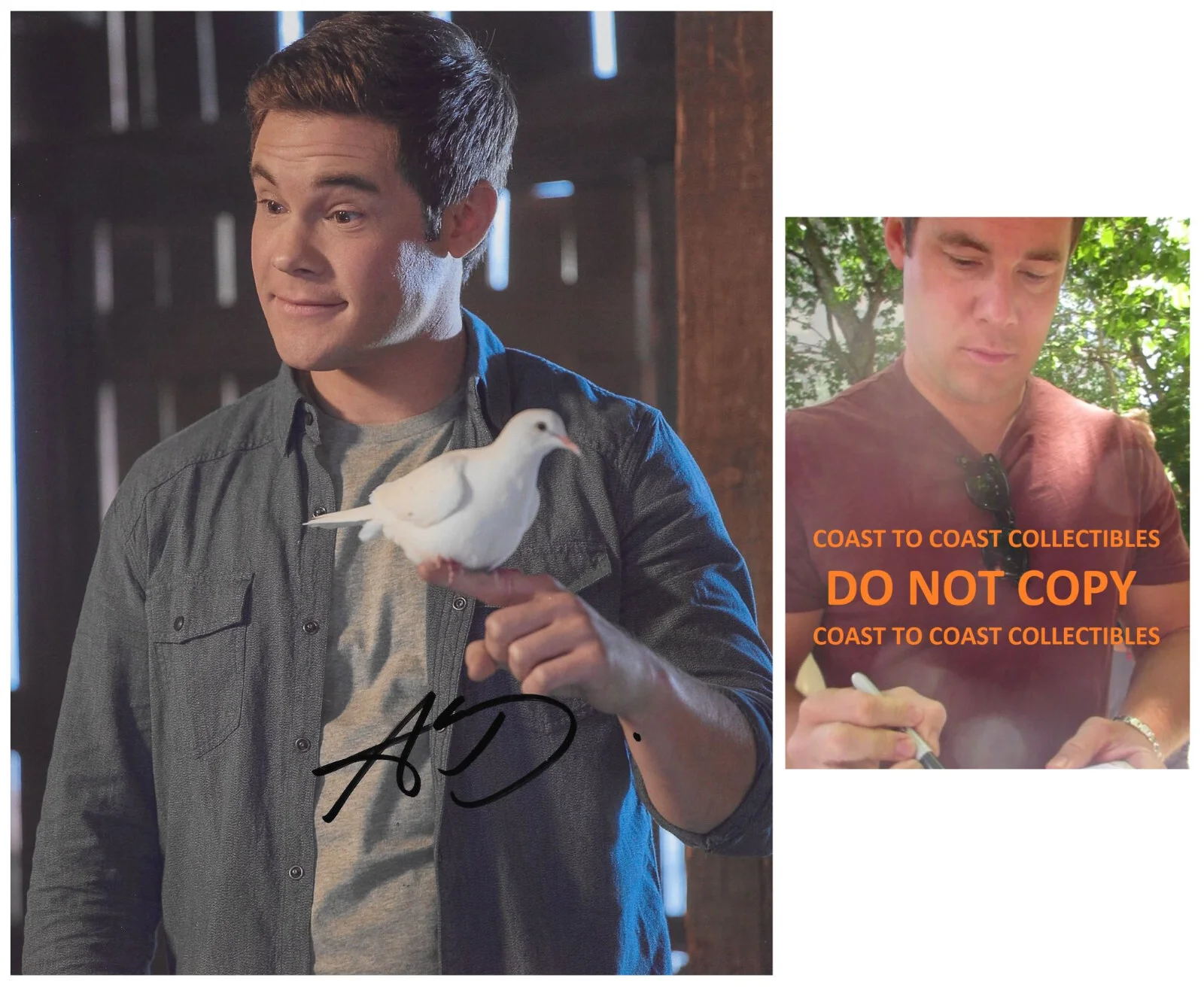 Adam Devine — Adam Devine Signed 8x10 Photo Proof COA Autographed Actor Workaholics Comedian,