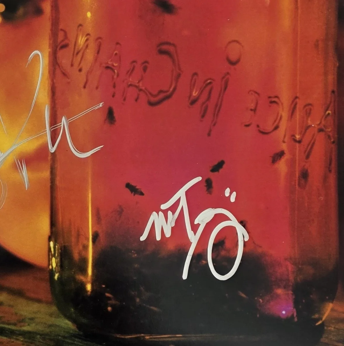 Alice In Chains Signed Jar of Flies Album COA Proof Autographed Vinyl Record, изображение 5