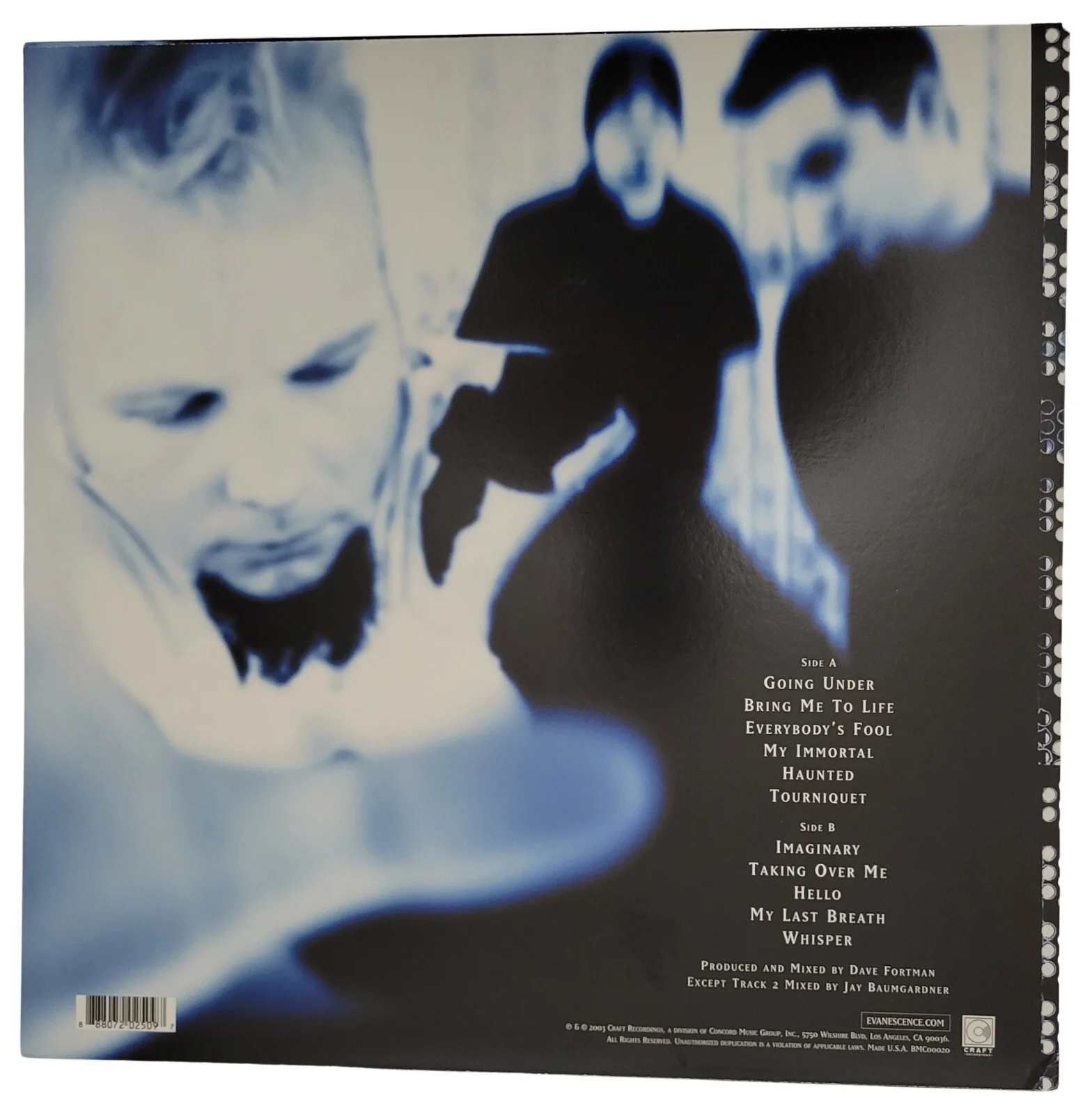 Amy Lee signed Evanescence Fallen album COA exact proof autographed vinyl record, изображение 4