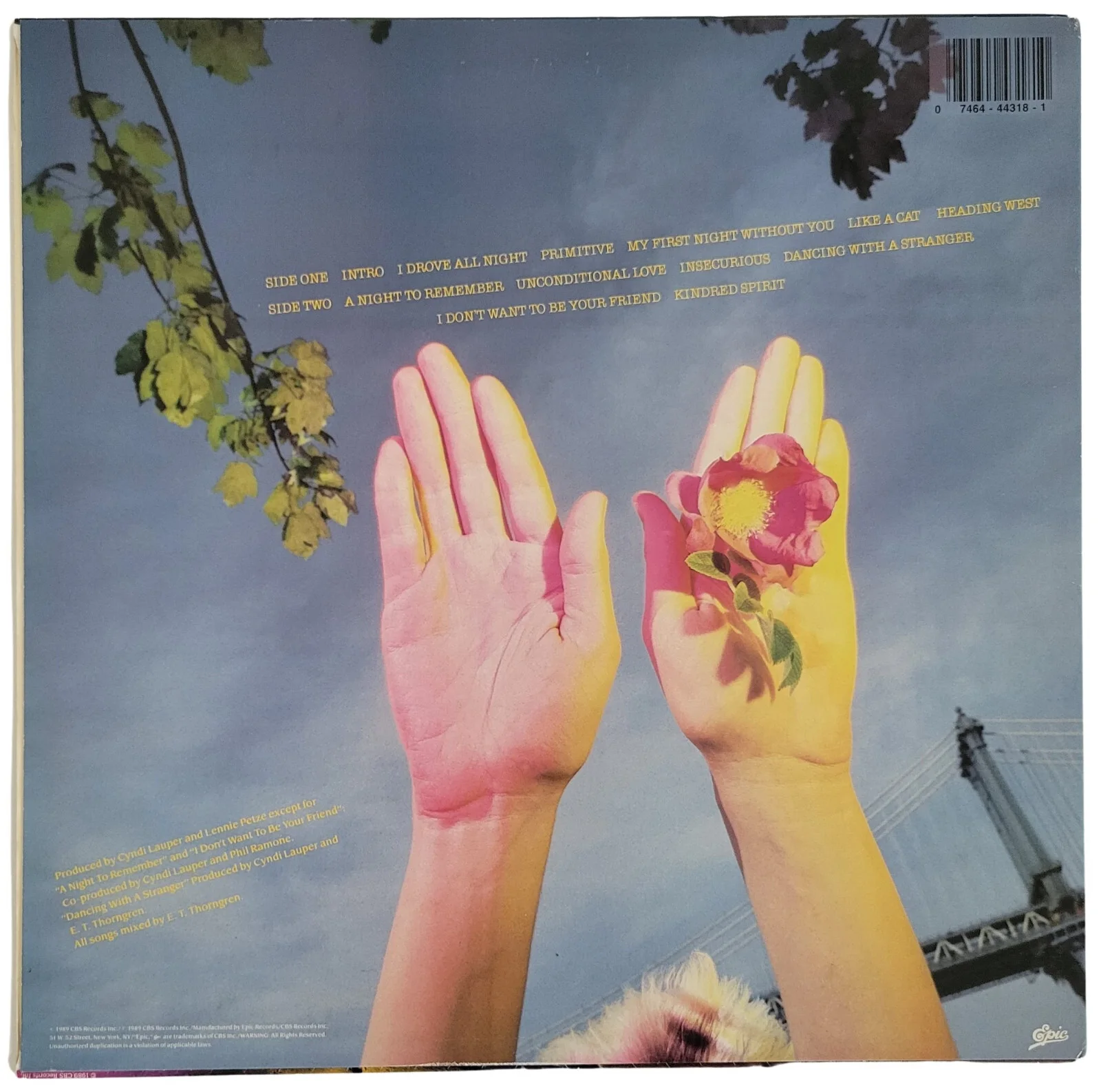Cyndi Lauper Signed A Night to Remember Album COA Proof Autographed Vinyl Record, изображение 4