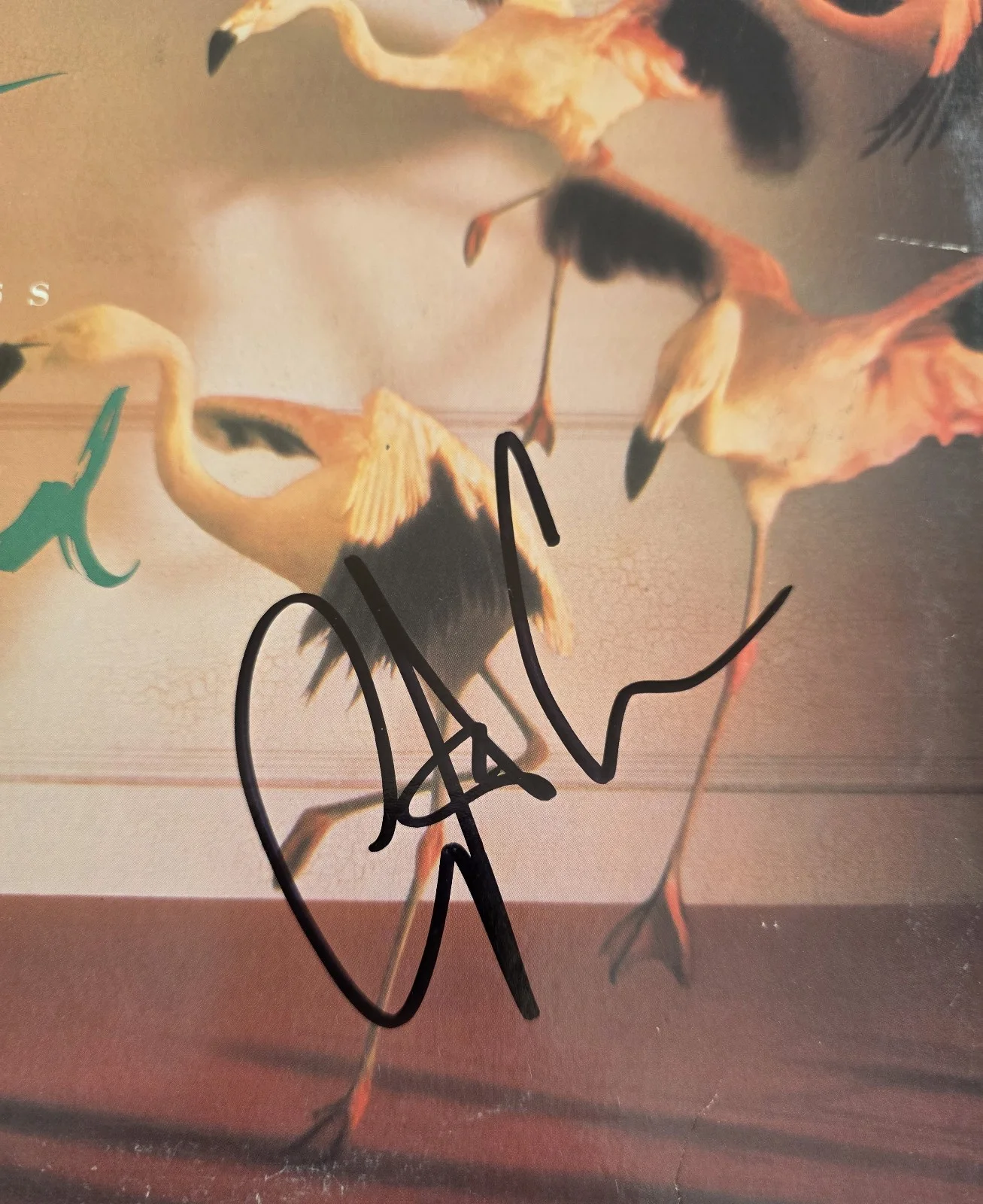 Christopher Cross Signed Back of My Mind Album COA Exact Proof Autographed Vinyl, изображение 4