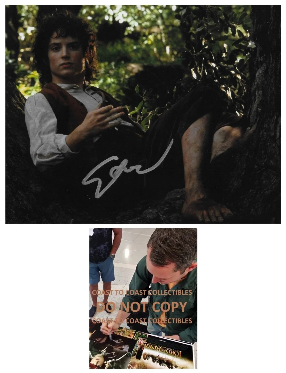 Elijah Wood — Elijah Wood Signed Lord Of The Rings 8x10 Photo Proof Autographed Frodo Baggins-