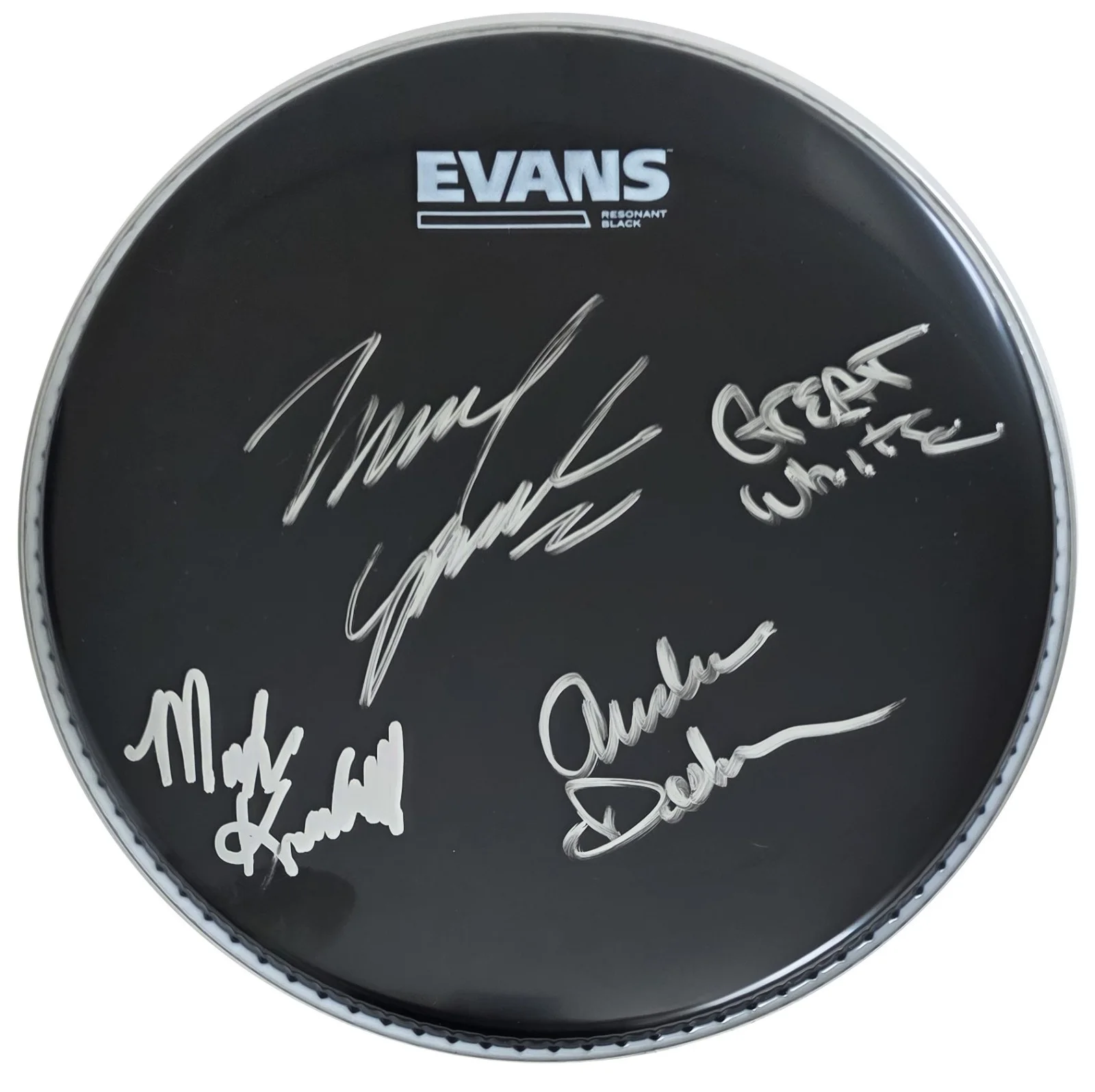 Great White Band Signed 10'' Drumhead COA Exact Proof Autographed Rock Band, image 2