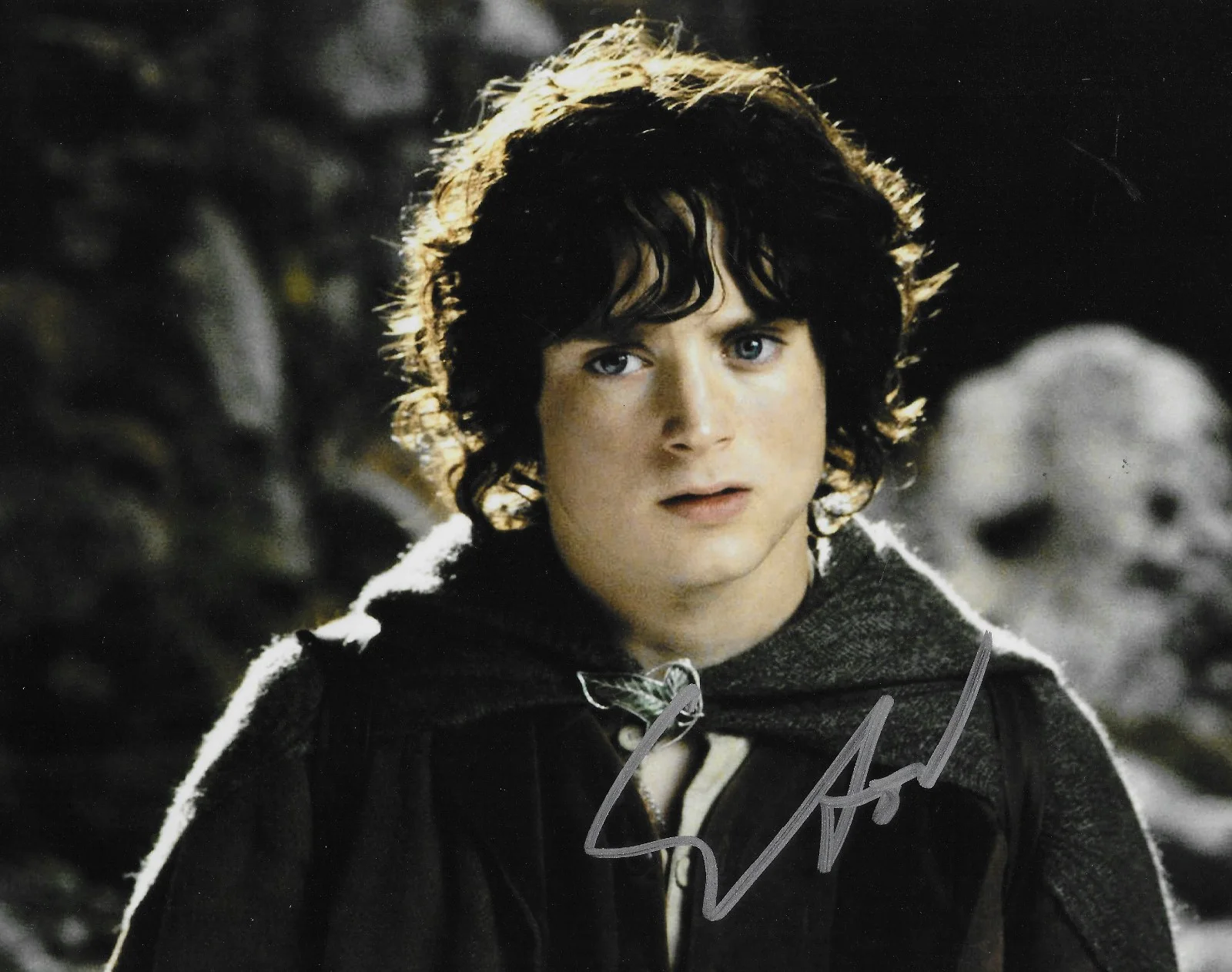 Elijah Wood — Elijah Wood Signed Lord Of The Rings 8x10 Photo Proof Autographed Frodo Baggins+, изображение 2