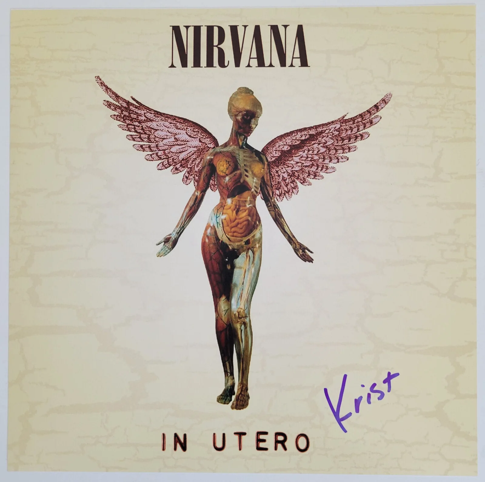 Krist Novoselic signed Nirvana In Utero 12x12 album photo COA proof.autographed, изображение 2