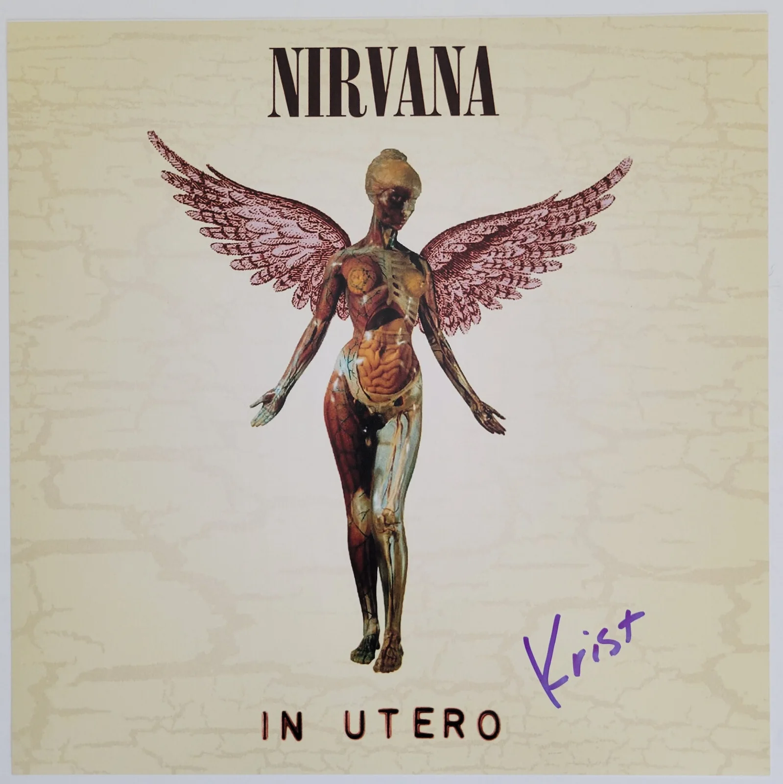 Krist Novoselic signed Nirvana In Utero 12x12 album photo COA proof.autographed, изображение 3