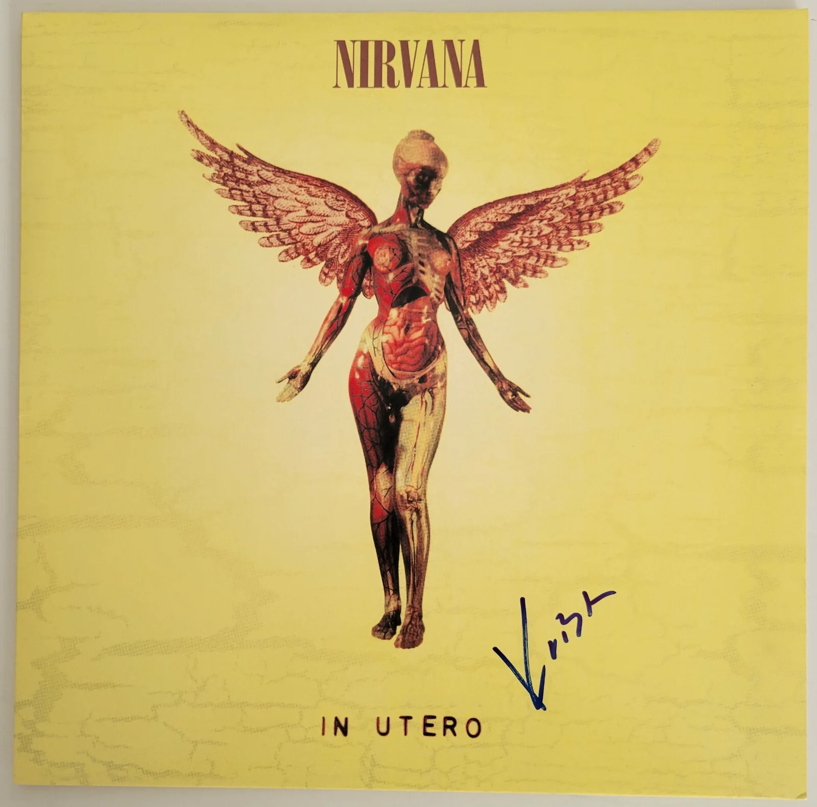 Krist Novoselic signed Nirvana In Utero album, vinyl COA exact proof autographed, image 3