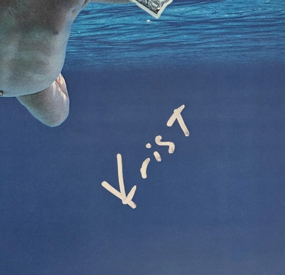 Krist Novoselic Signed Nirvana Nevermind Album COA Proof Autographed Vinyl Vig, изображение 4