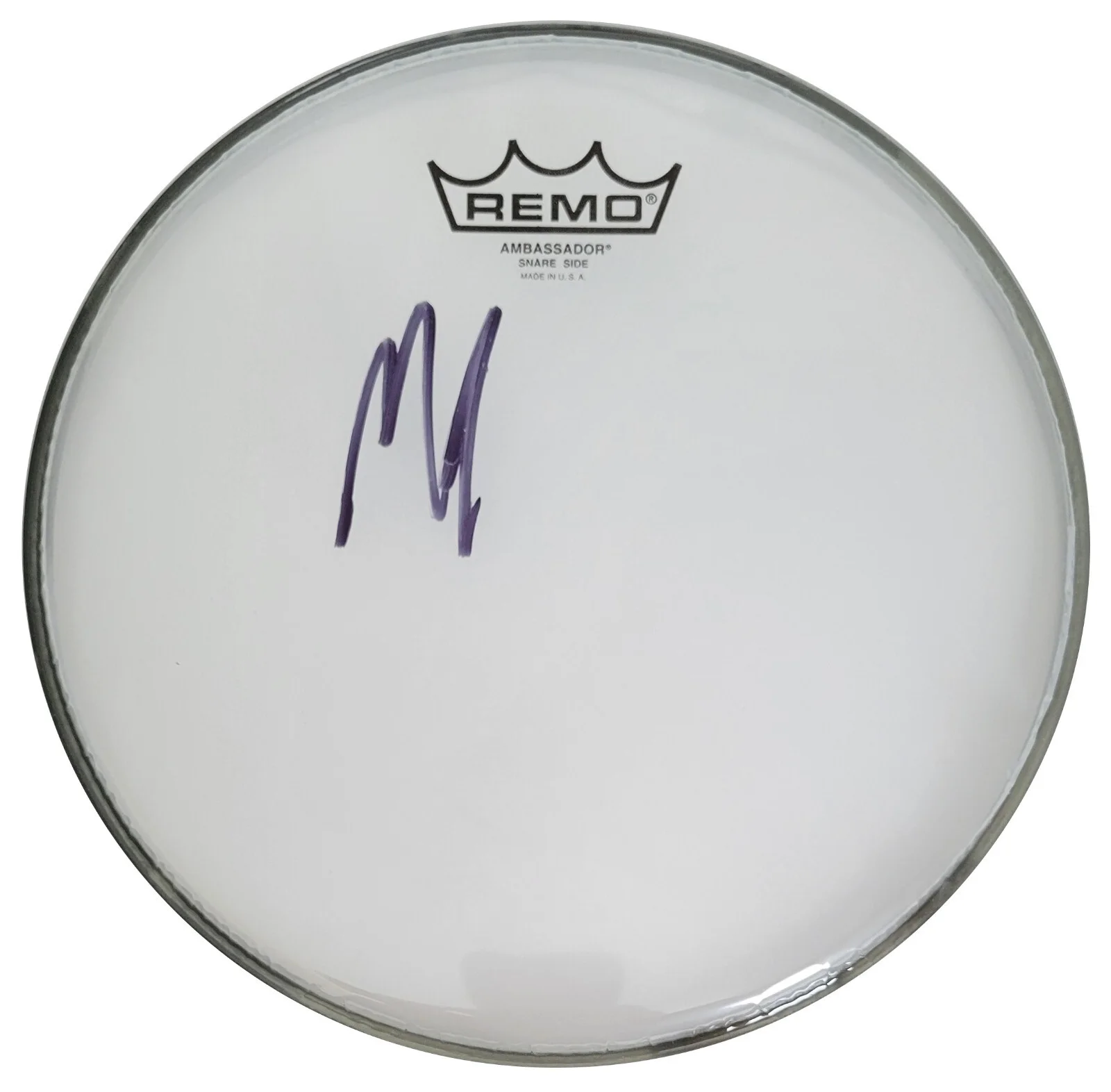 Matt Cameron Pearl Jam Soundgarden Drummer Signed Drumhead COA Proof,Autographed, изображение 2