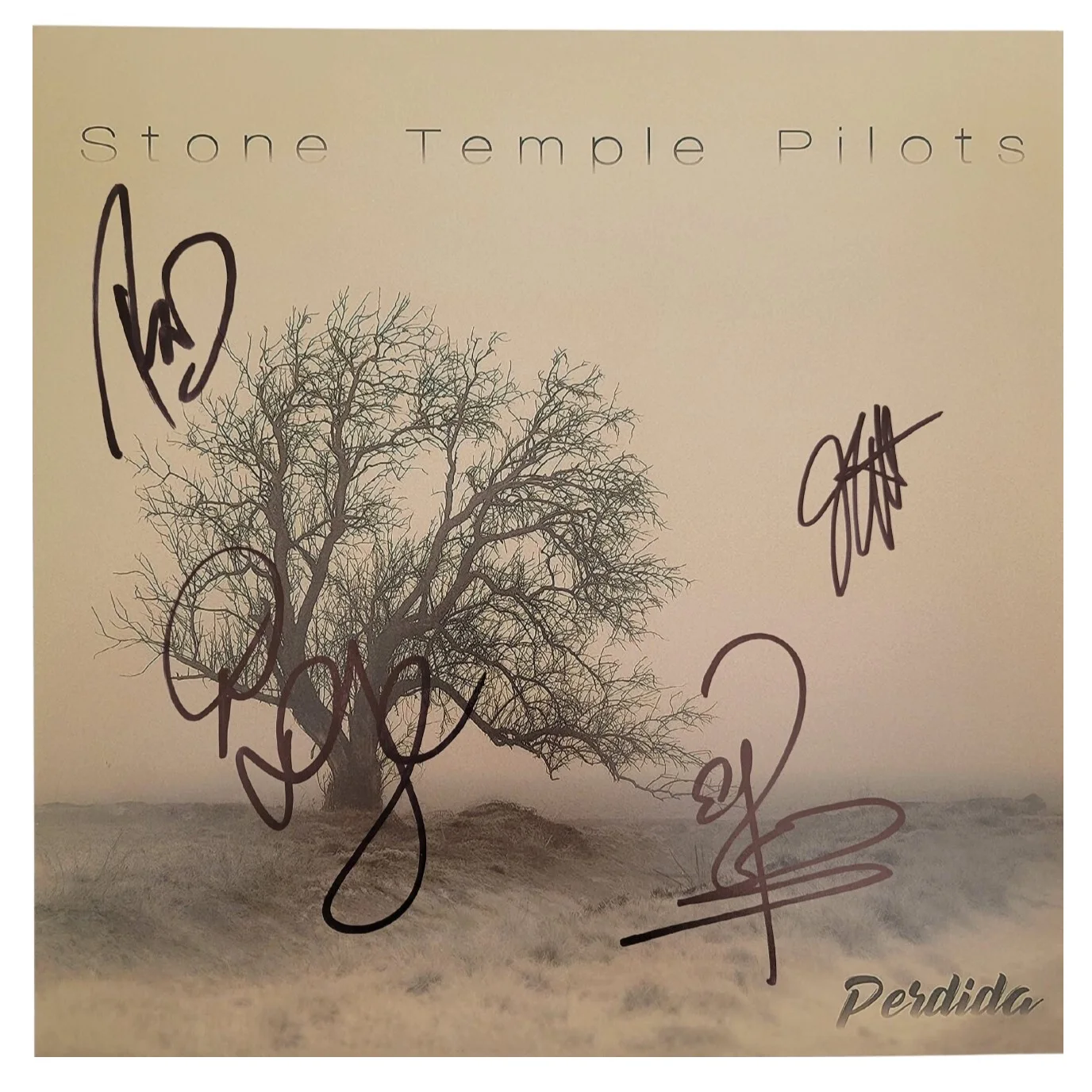 Stone Temple Pilots Band Signed 12x12 Perdida Album Photo Proof COA Autographed, изображение 2